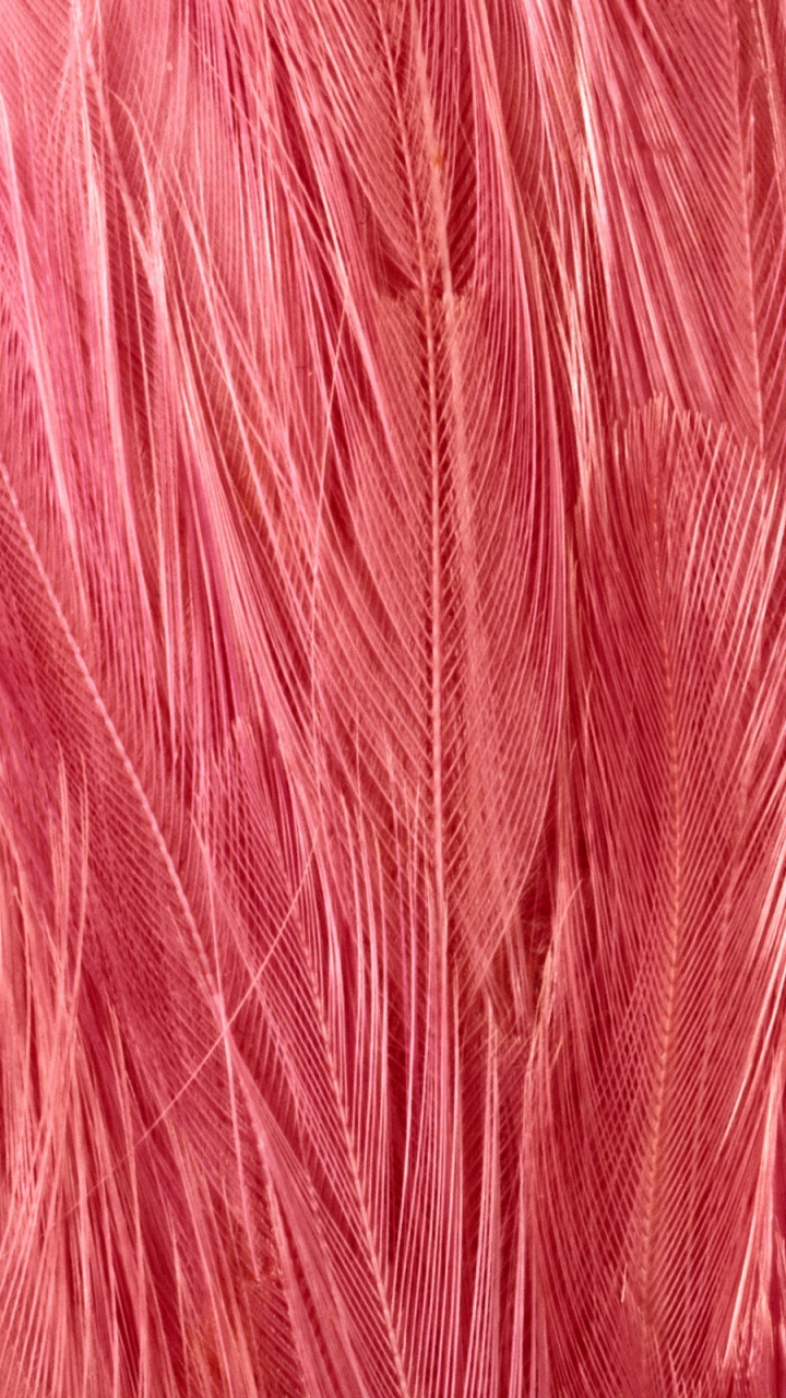 Textile Rouge en Gros Plan Image. Wallpaper in 720x1280 Resolution