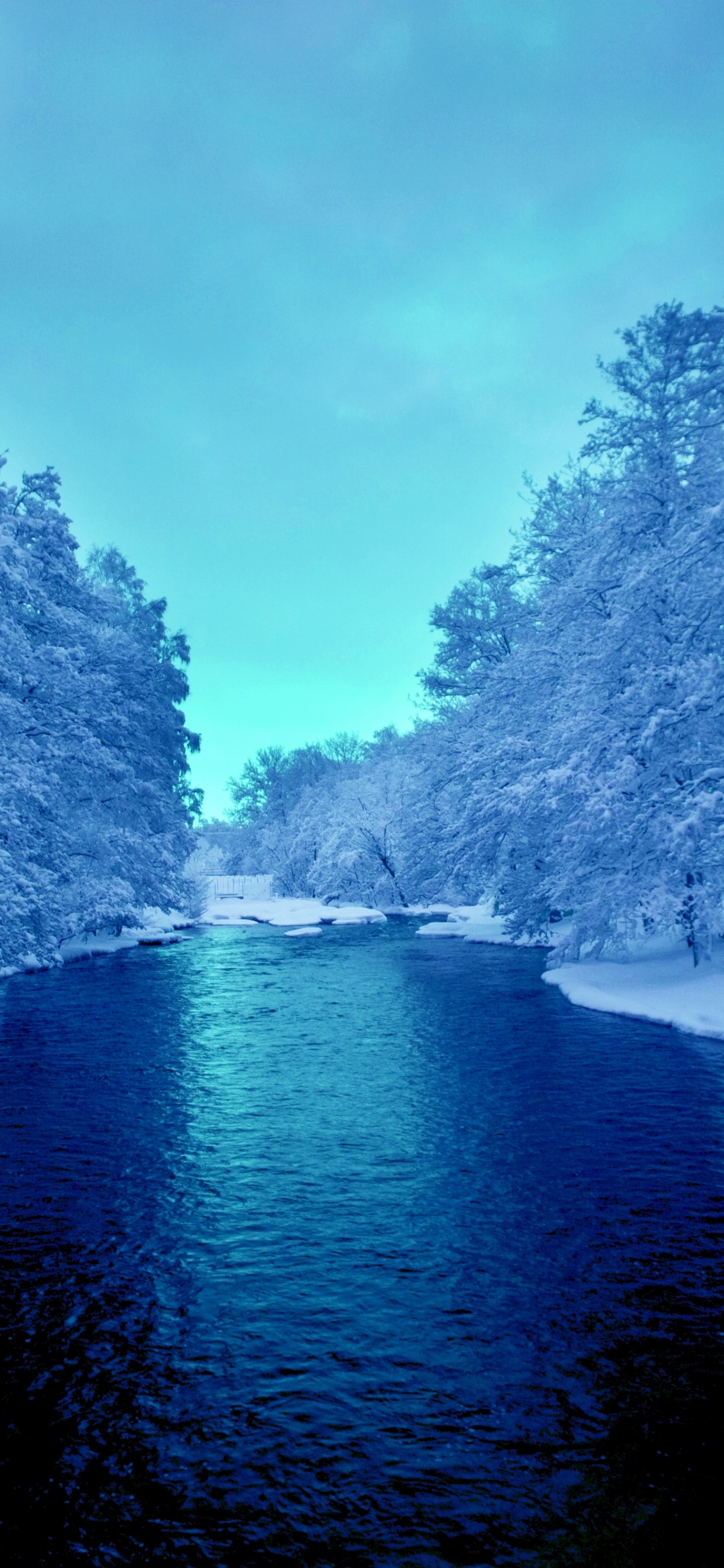 Río Entre Árboles Bajo un Cielo Azul Durante el Día. Wallpaper in 1242x2688 Resolution