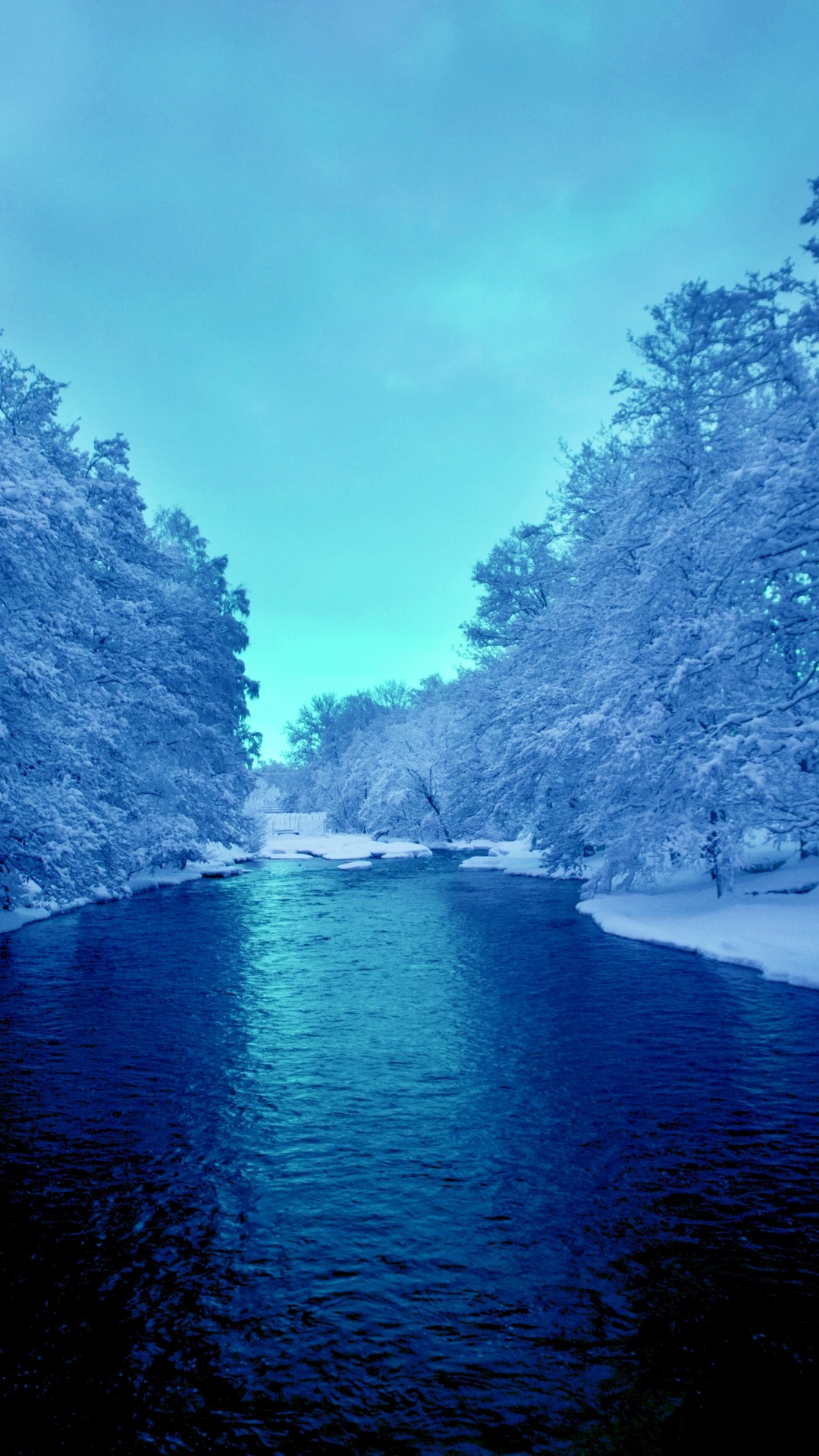 River Between Trees Under Blue Sky During Daytime. Wallpaper in 1080x1920 Resolution