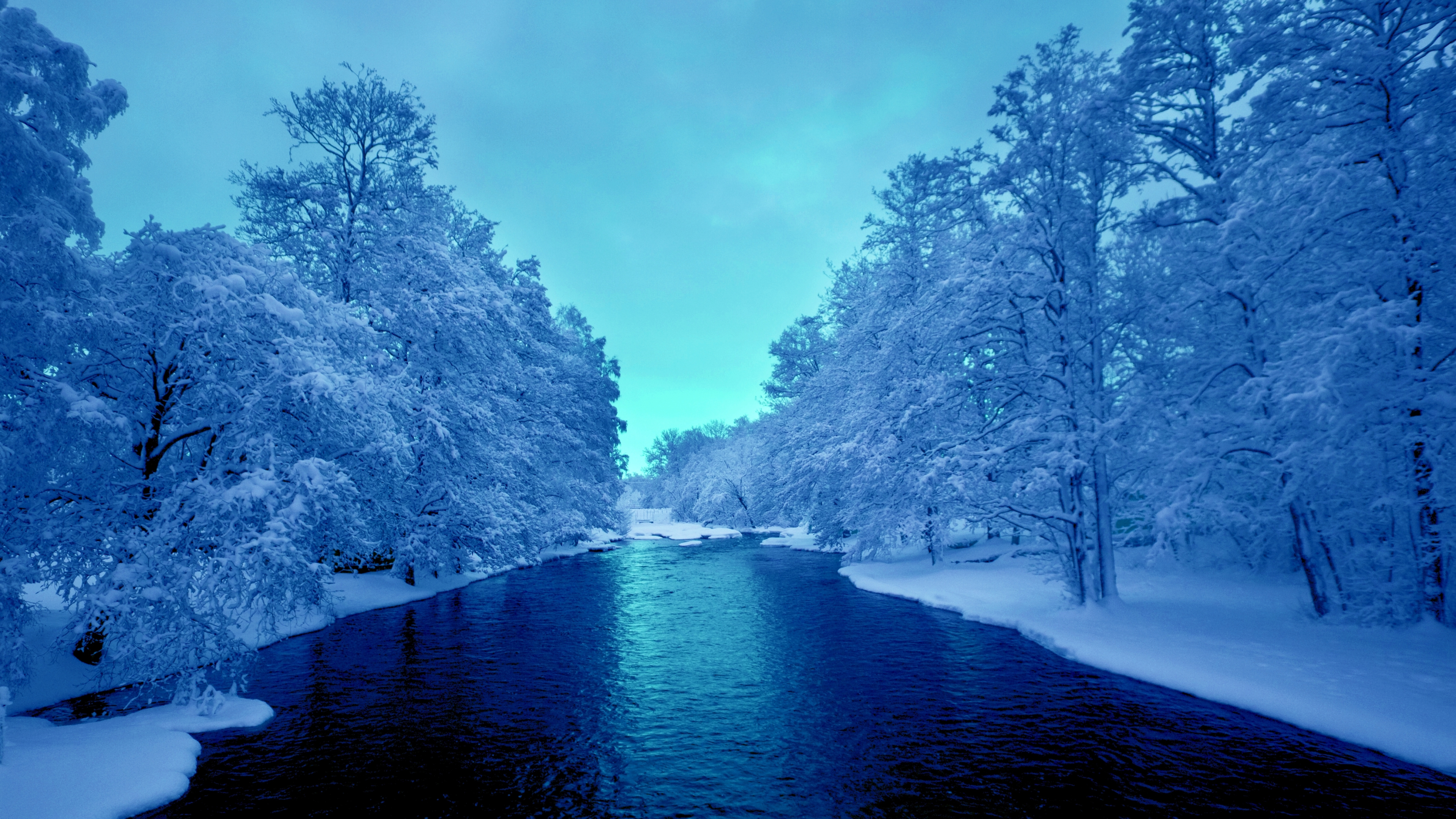 River Between Trees Under Blue Sky During Daytime. Wallpaper in 3840x2160 Resolution