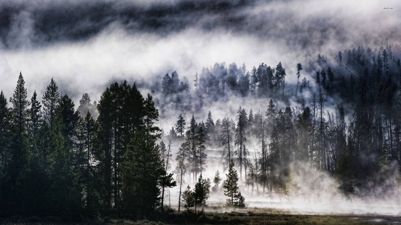 Arbres Verts Sous Des Nuages Blancs. Wallpaper in 1366x768 Resolution