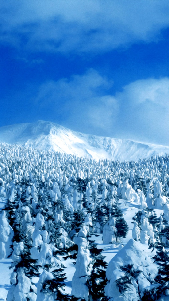 Grupo de Personas en la Montaña Cubierta de Nieve Durante el Día. Wallpaper in 720x1280 Resolution