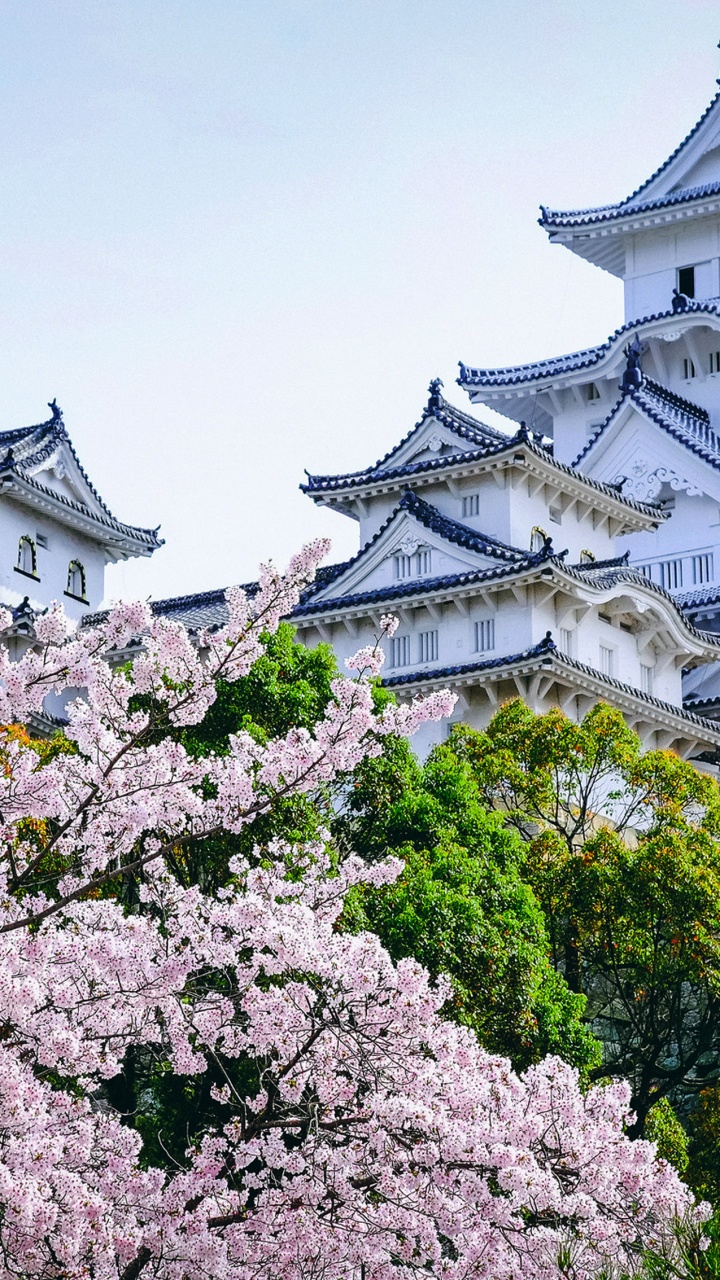 White and Gray Concrete Building Near Green Trees During Daytime. Wallpaper in 720x1280 Resolution