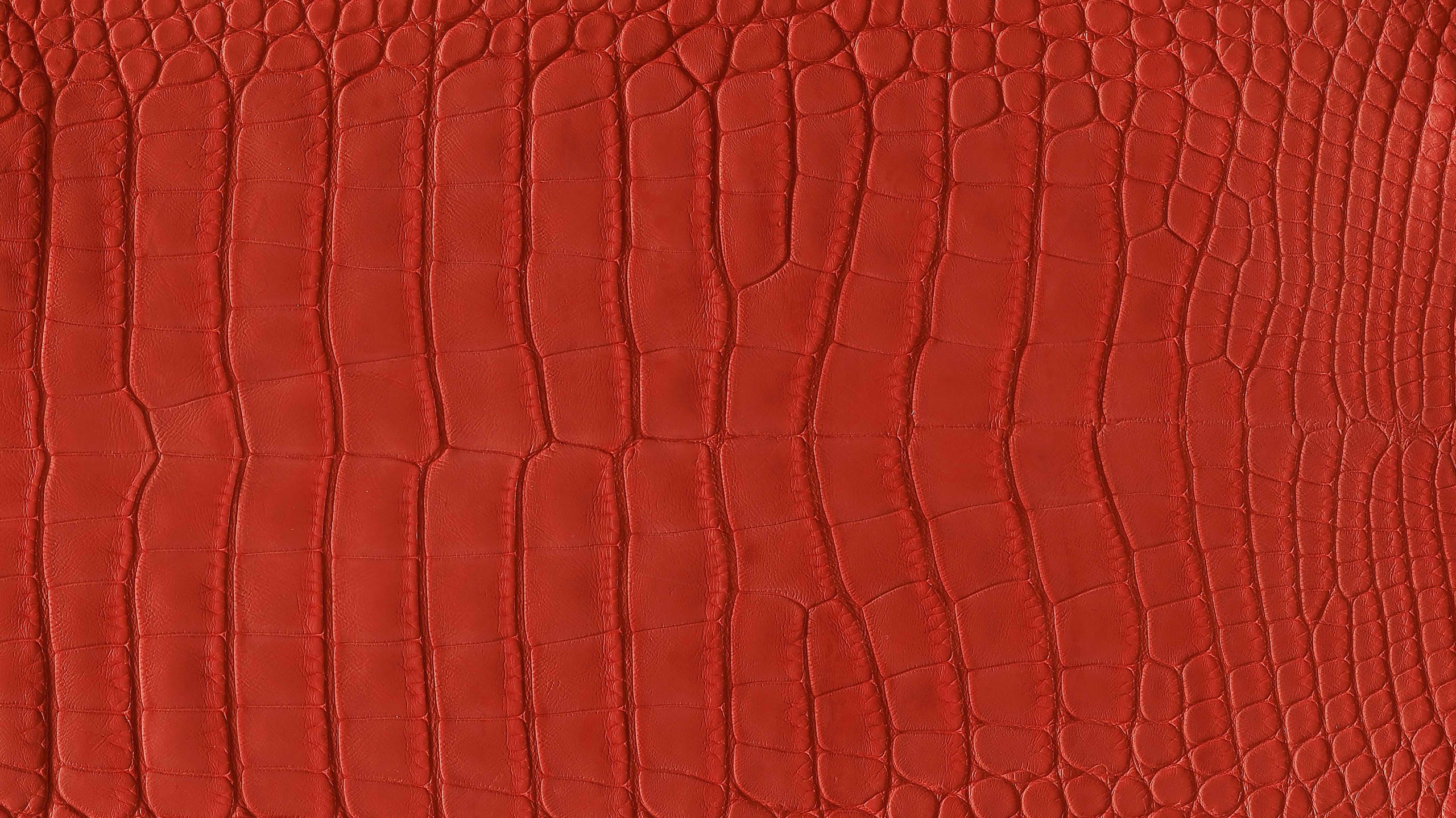 Textile Marron en Gros Plan Image. Wallpaper in 2560x1440 Resolution