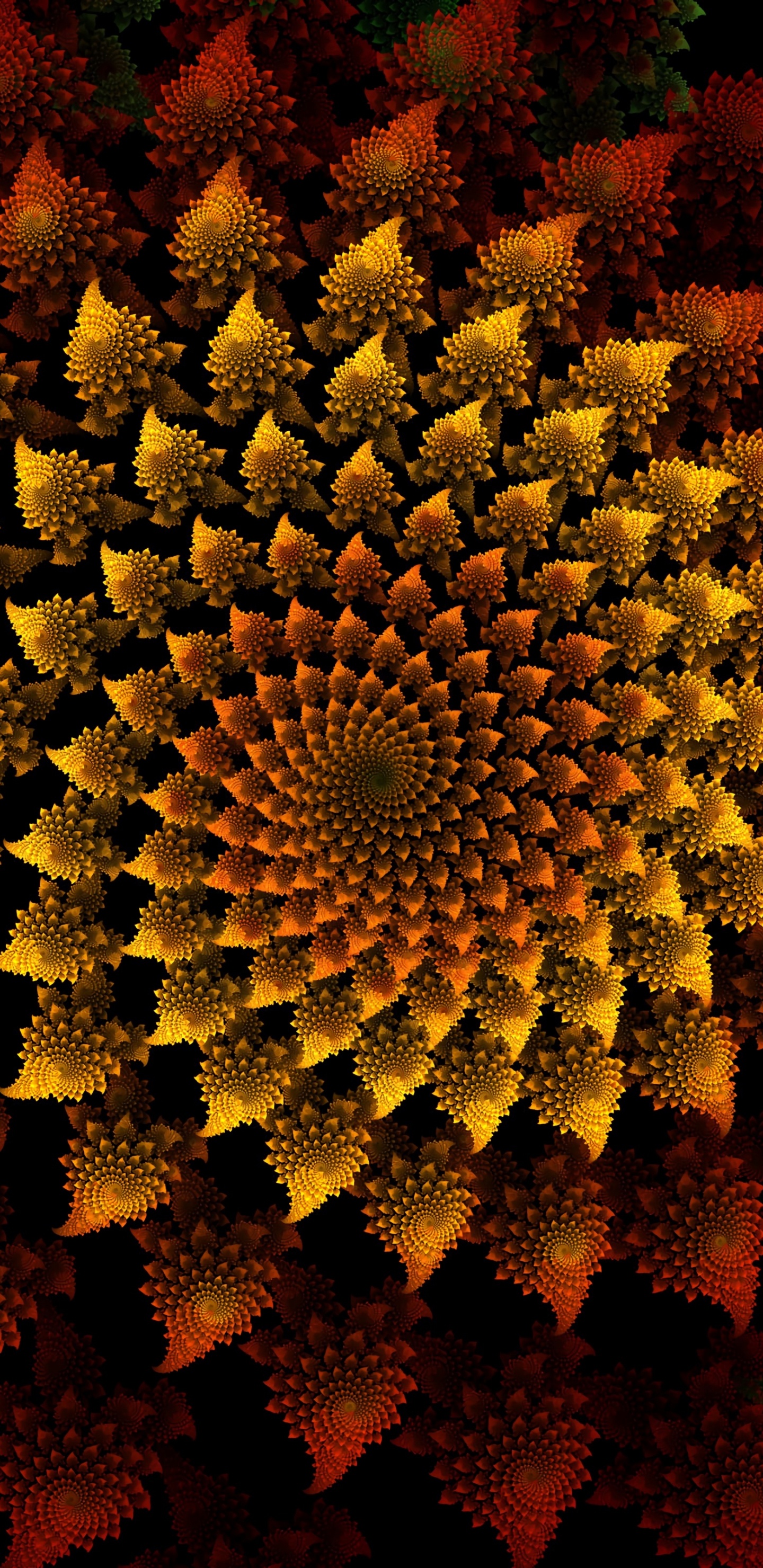 Campo de Flores Amarillas y Rojas. Wallpaper in 1440x2960 Resolution