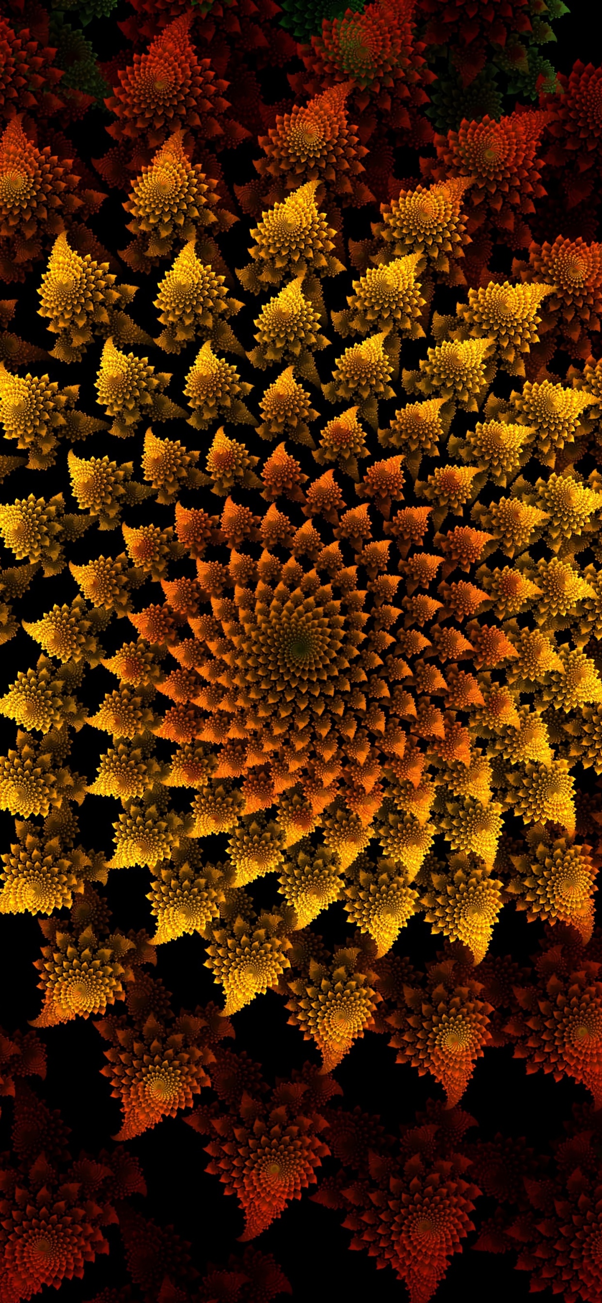 Champ de Fleurs Jaunes et Rouges. Wallpaper in 1242x2688 Resolution