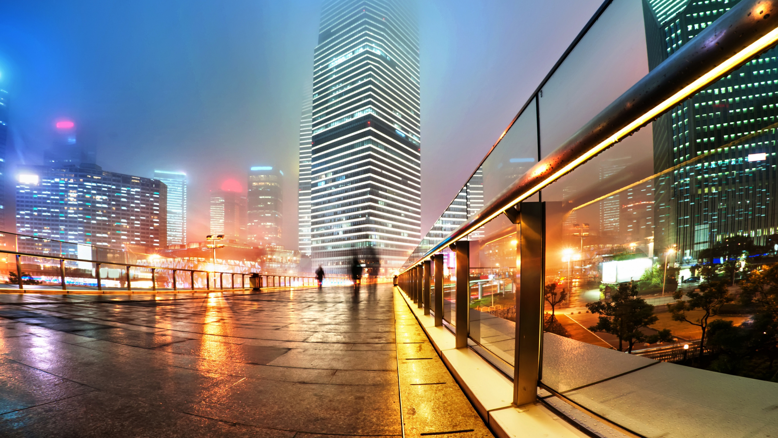 City Buildings During Night Time. Wallpaper in 2560x1440 Resolution