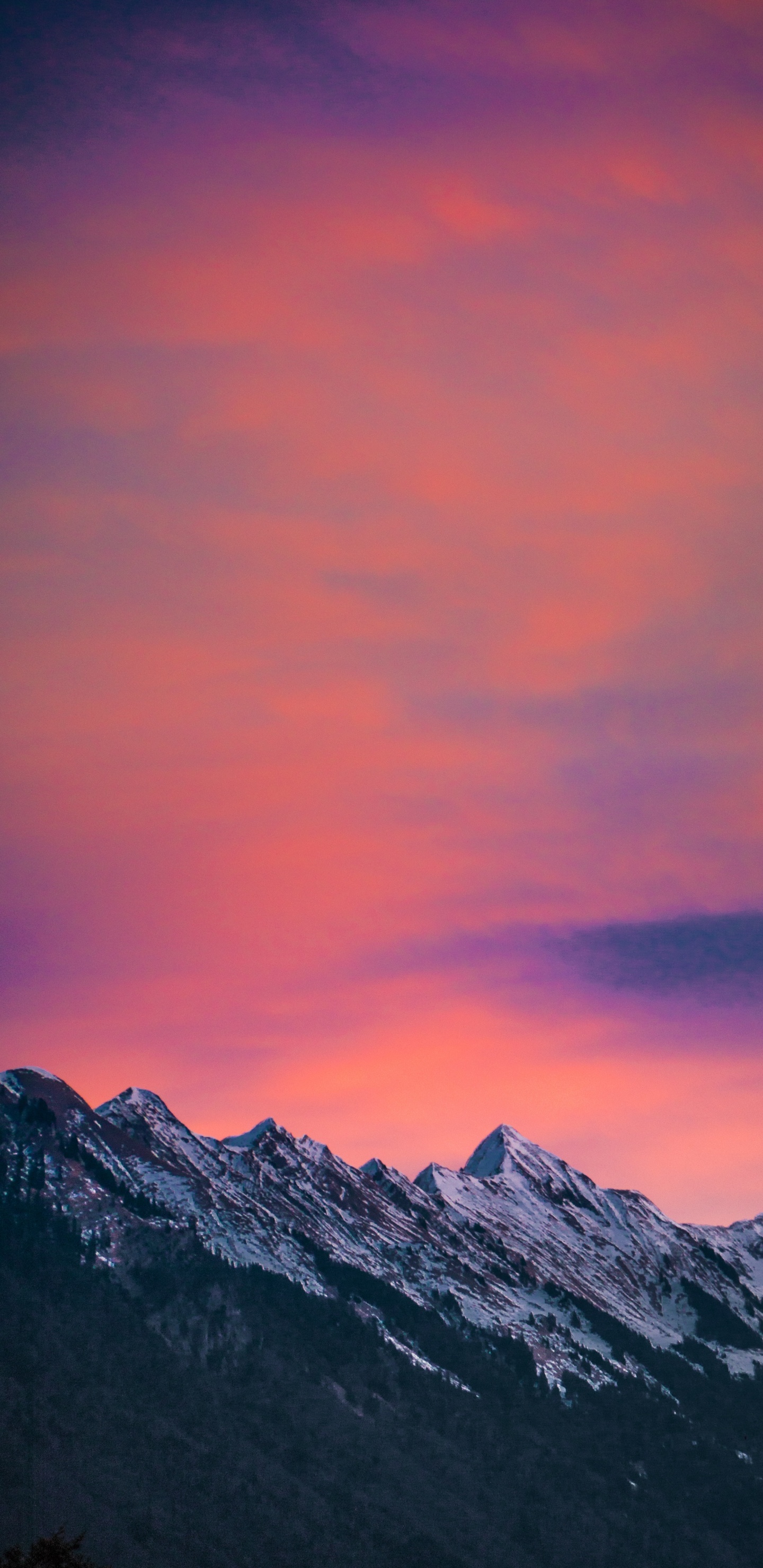 Afterglow, Pink, Mountainous Landforms, Sunset, Dusk. Wallpaper in 1440x2960 Resolution