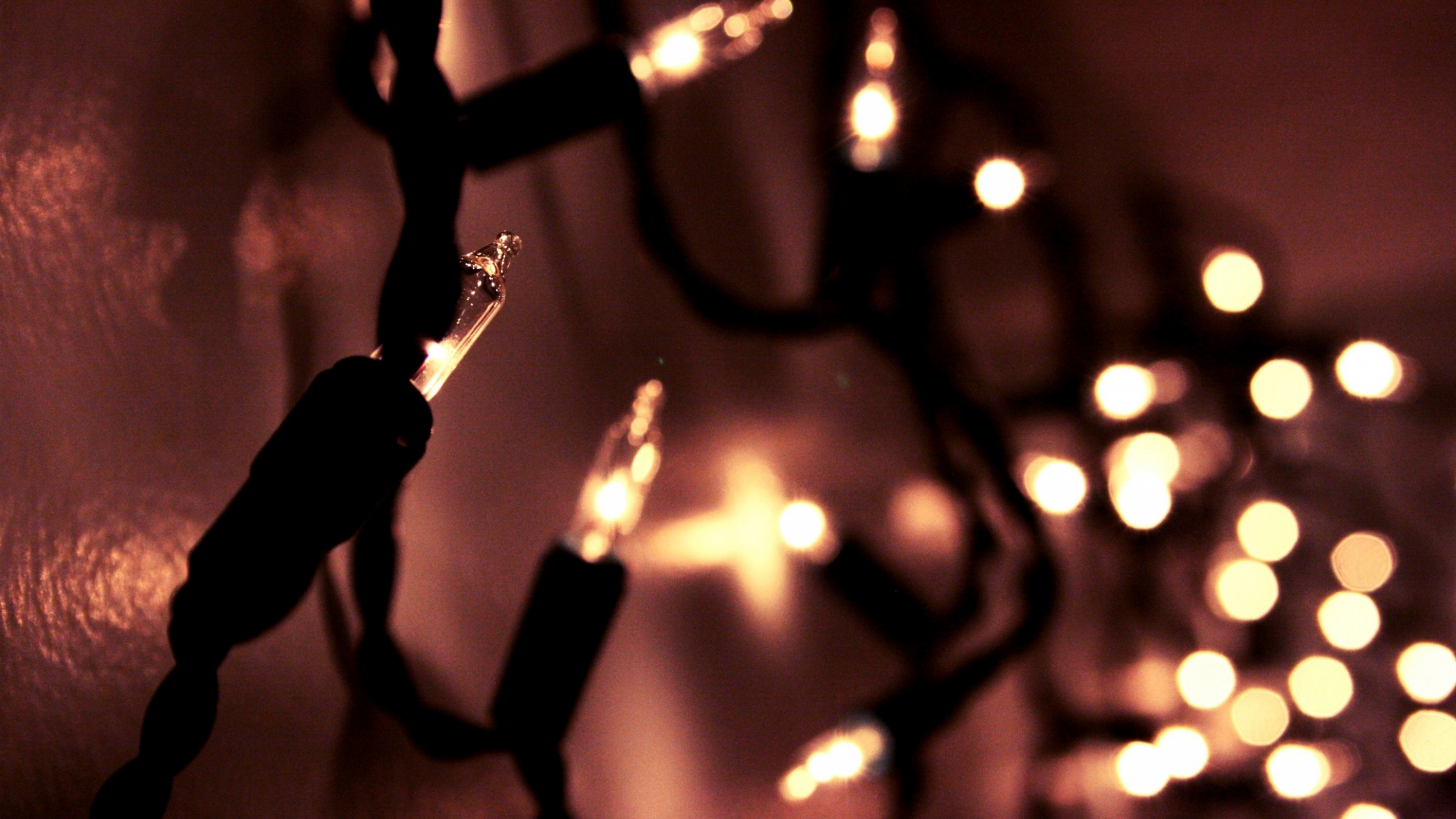 Light, Garland, Lighting, Night, Event. Wallpaper in 2560x1440 Resolution