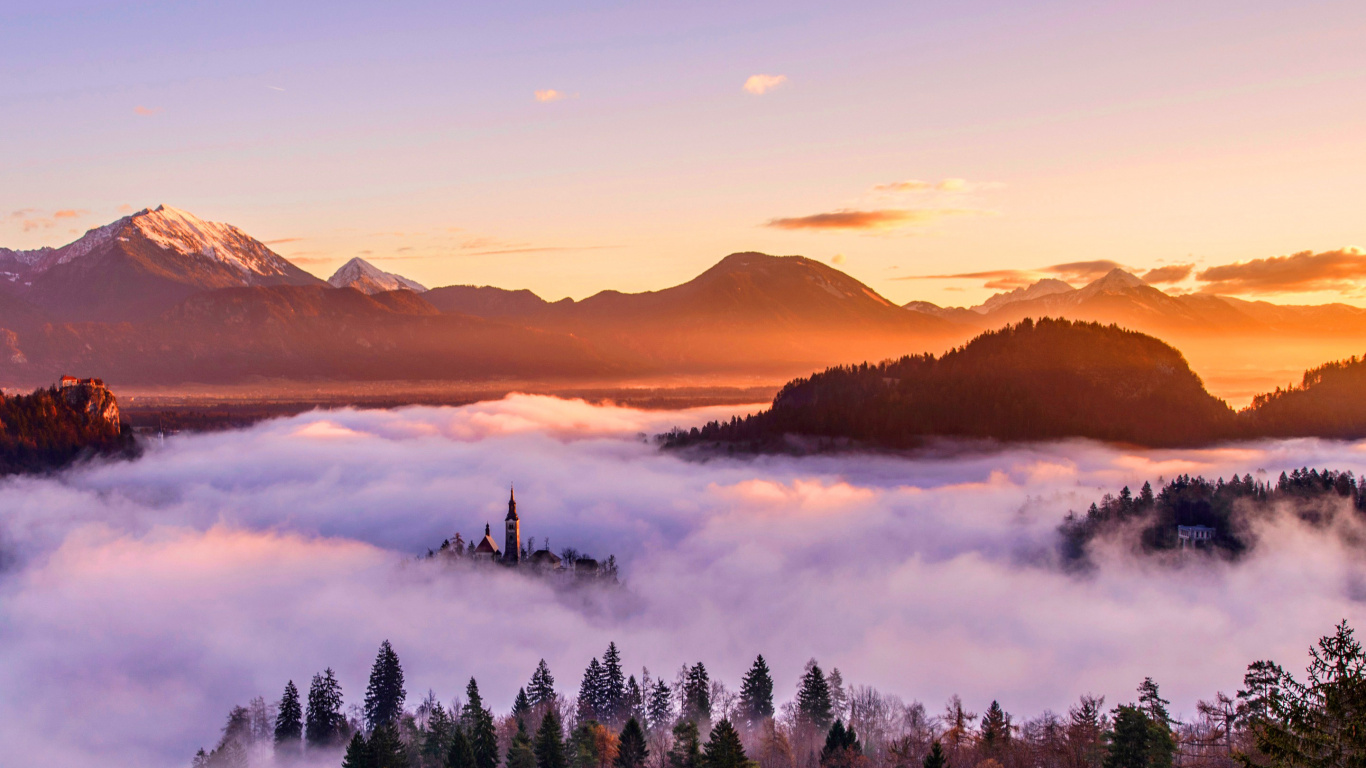 Tagsüber Grüne Pinien in Der Nähe Des Sees. Wallpaper in 1366x768 Resolution