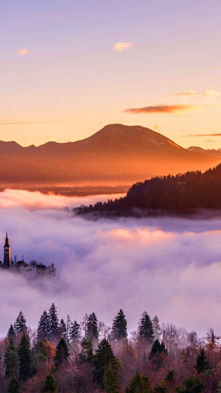 性质, 早上, 日出, 黎明, 荒野 壁纸 720x1280 允许