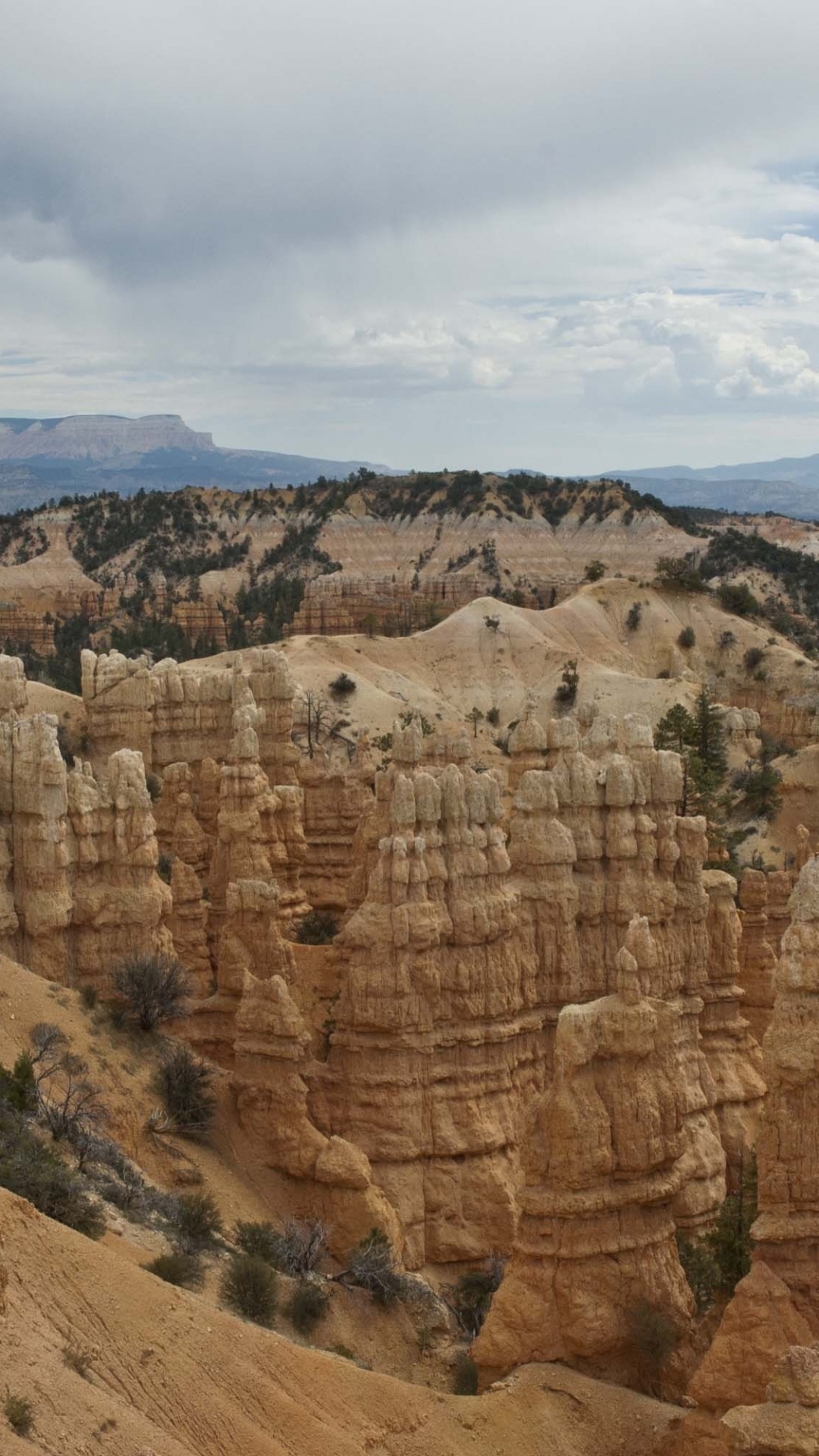 Badlands, Cañon, el Parque Nacional De, Valle, Meseta. Wallpaper in 1080x1920 Resolution