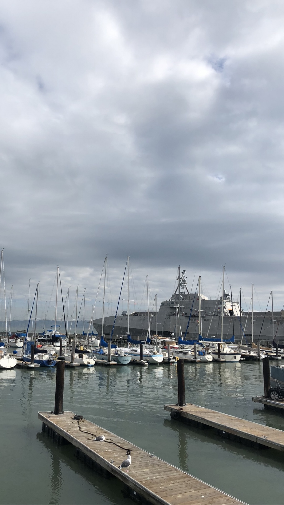 San Francisco, Marina, Agua, Velero, Cuerpo de Agua. Wallpaper in 1080x1920 Resolution