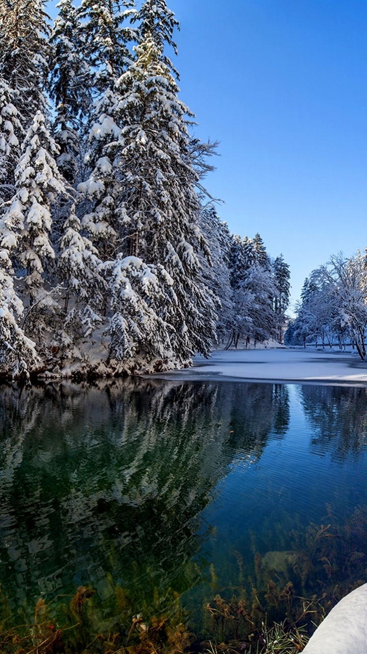 Maison en Bois Brune Près Des Arbres Couverts de Neige Pendant la Journée. Wallpaper in 720x1280 Resolution