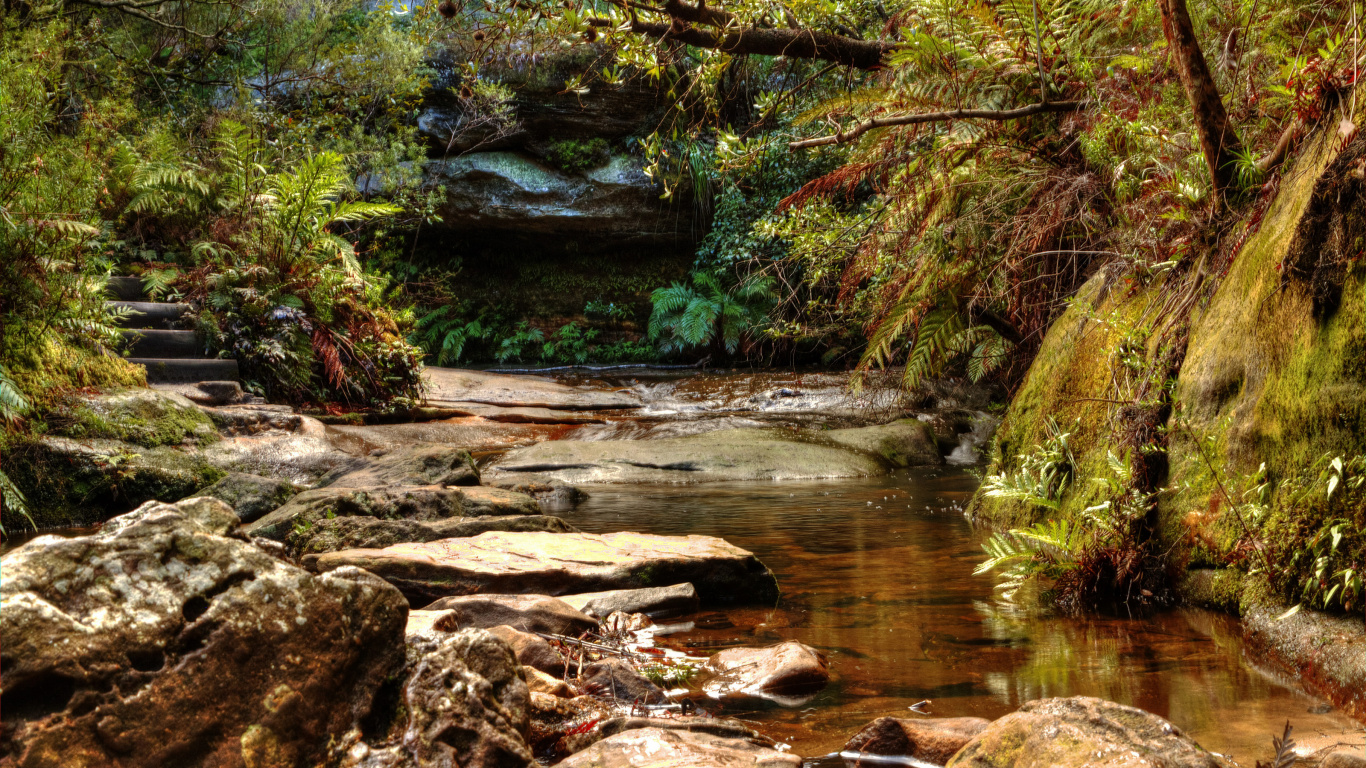 Brown and Gray Rocks on River. Wallpaper in 1366x768 Resolution