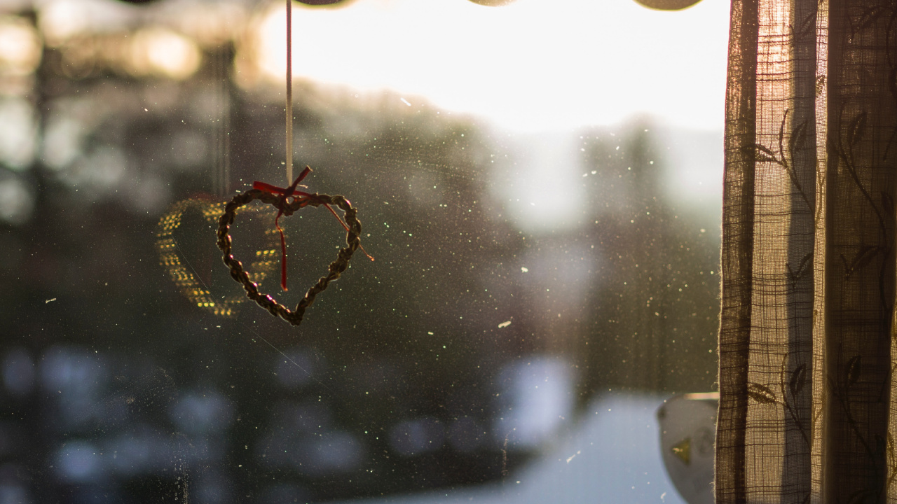 Braune Und Schwarze Spinne im Netz Tagsüber. Wallpaper in 1280x720 Resolution