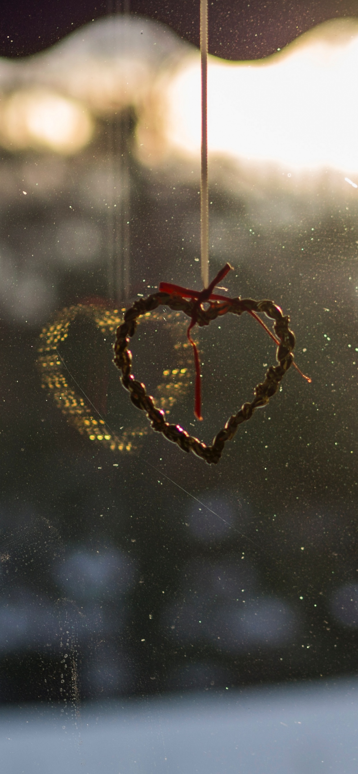 Brown and Black Spider on Web During Daytime. Wallpaper in 1242x2688 Resolution