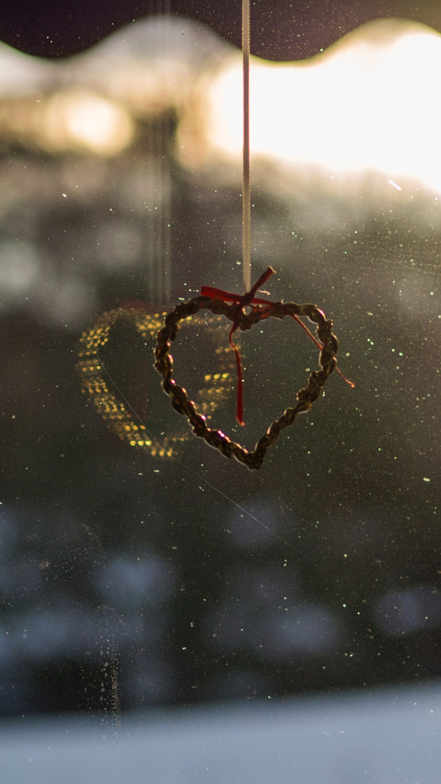 Brown and Black Spider on Web During Daytime. Wallpaper in 1440x2560 Resolution