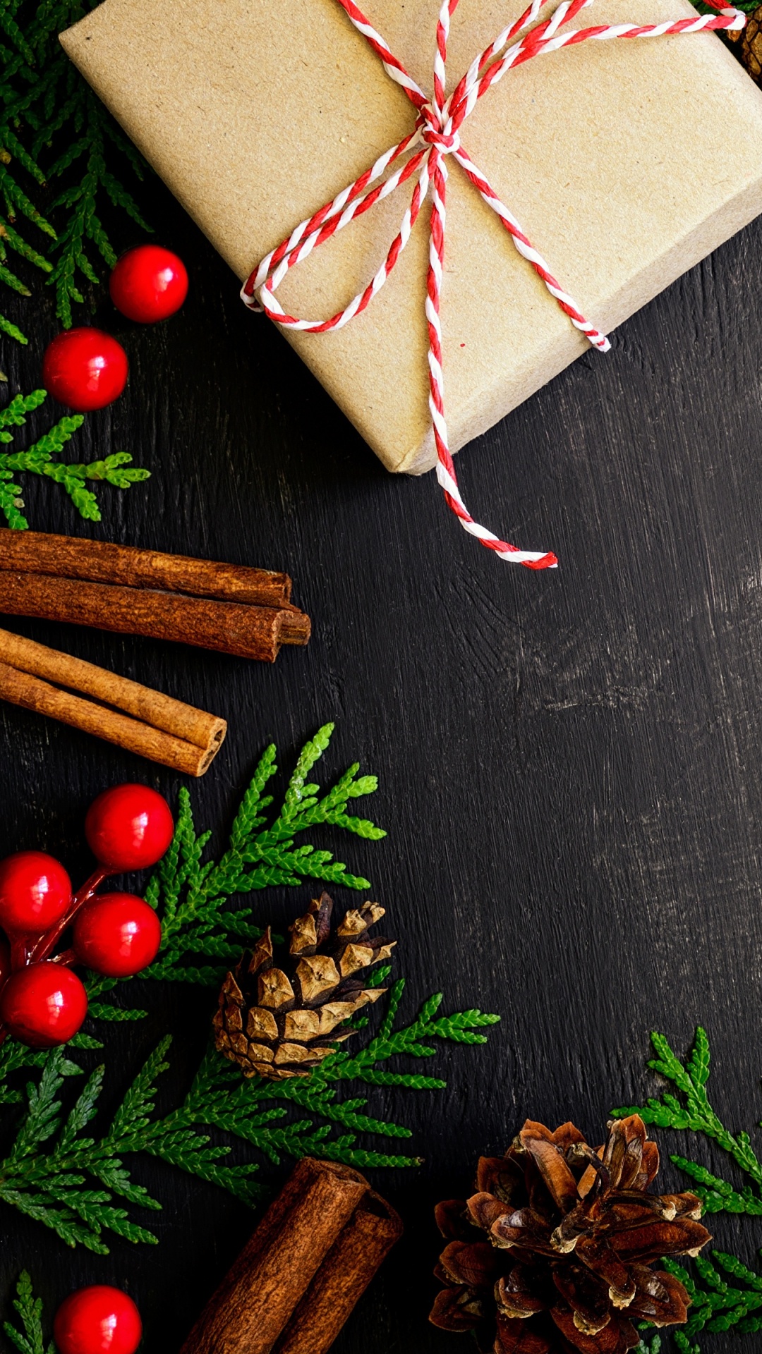 Christmas Day, Christmas Decoration, Christmas Ornament, Christmas, Holiday. Wallpaper in 1080x1920 Resolution