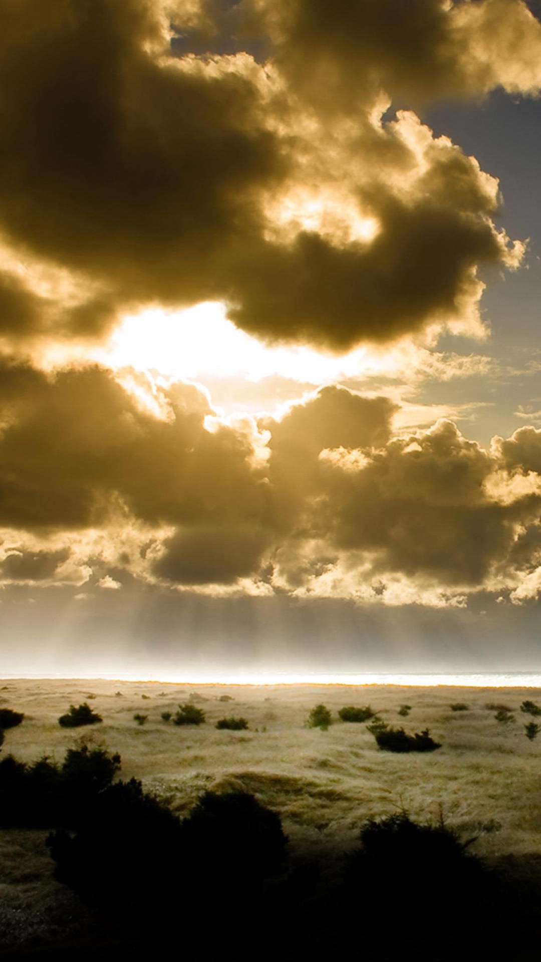 Silhouette D'arbres Près de la Mer Pendant le Coucher du Soleil. Wallpaper in 1080x1920 Resolution