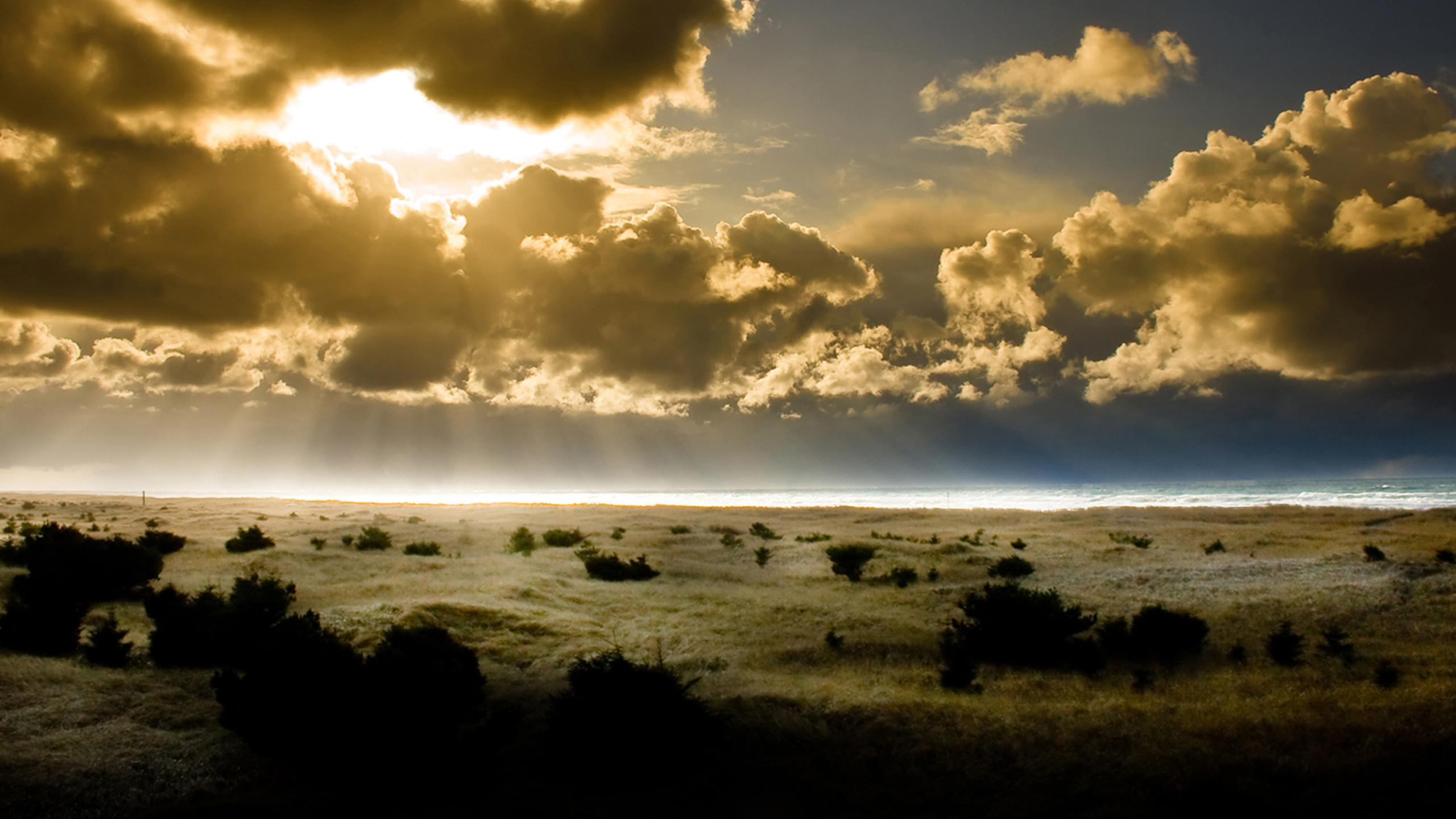 Silhouette of Trees Near Sea During Sunset. Wallpaper in 2560x1440 Resolution