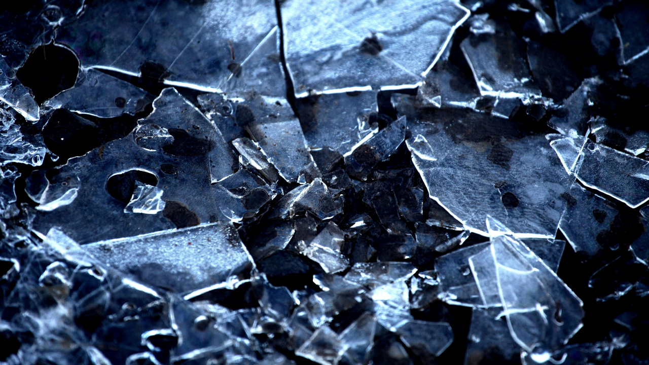 Grayscale Photo of Dried Leaves. Wallpaper in 1280x720 Resolution