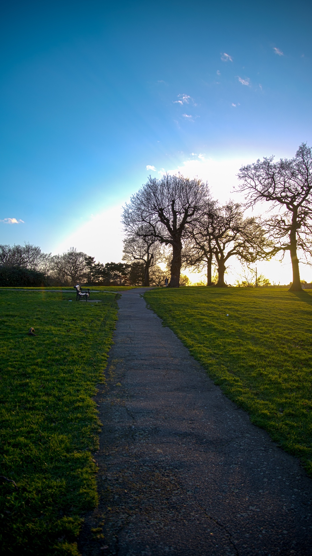 Natur, Naturlandschaft, Gr, Baum, Gras. Wallpaper in 1080x1920 Resolution