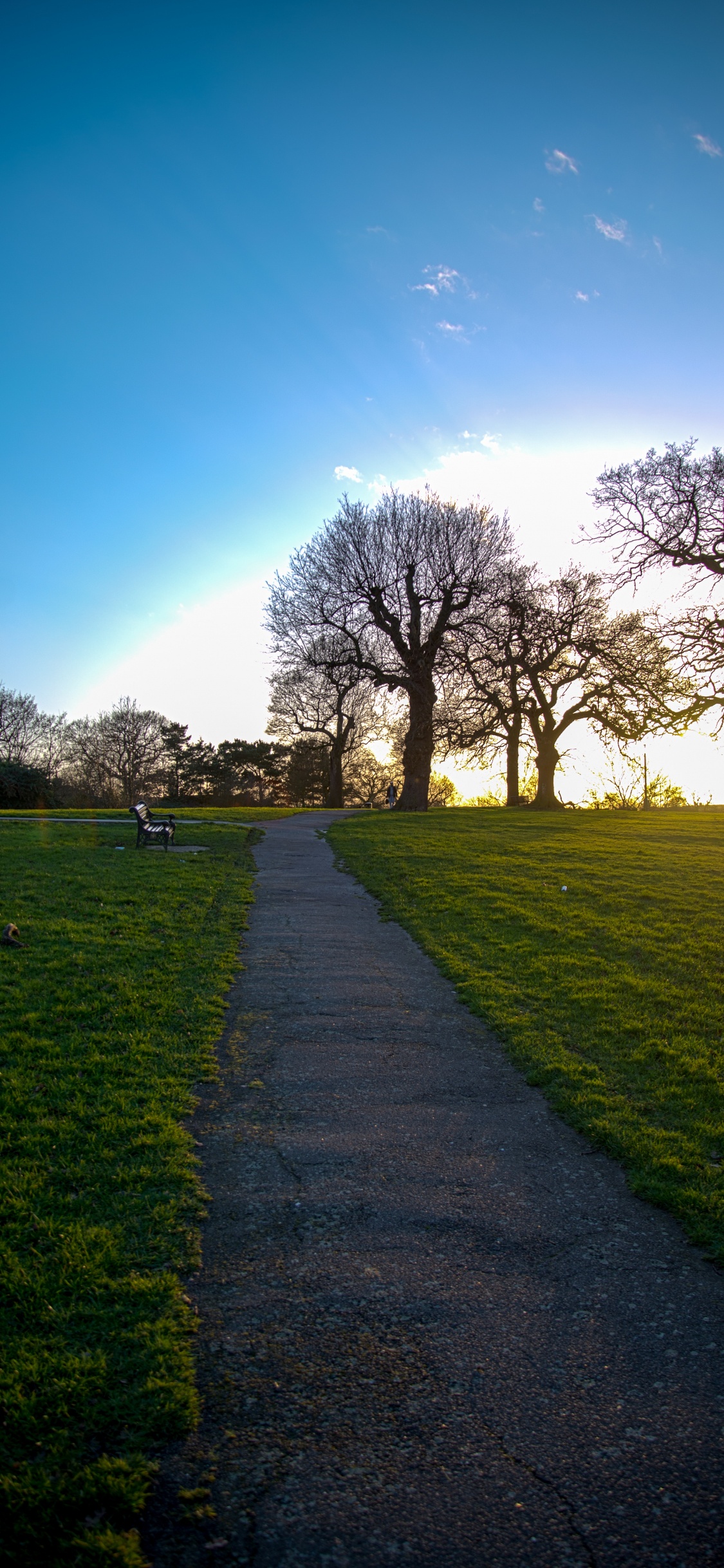 Nature, Paysage Naturel, Green, Matin, Printemps. Wallpaper in 1125x2436 Resolution