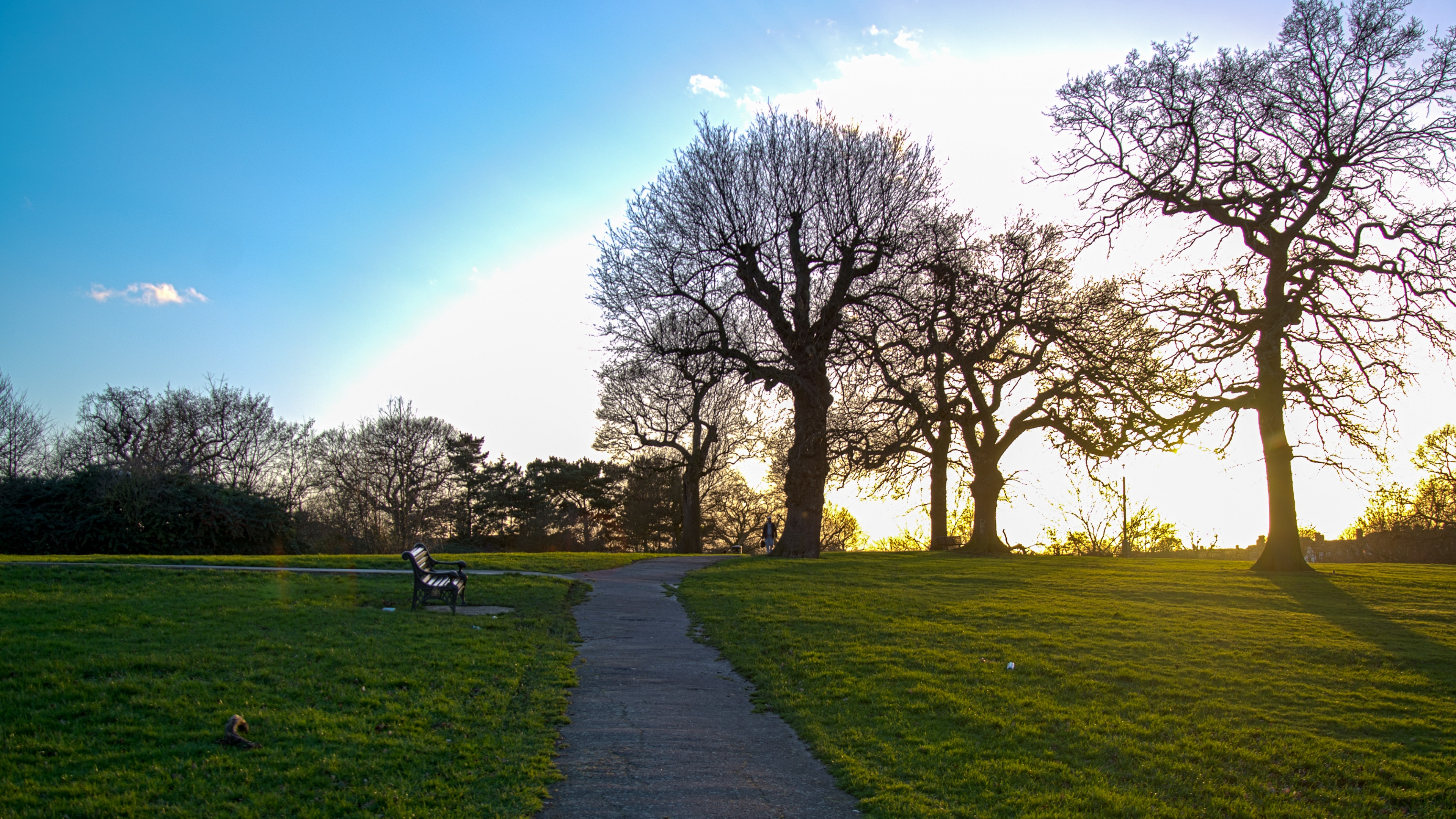 Nature, Paysage Naturel, Green, Matin, Printemps. Wallpaper in 3840x2160 Resolution
