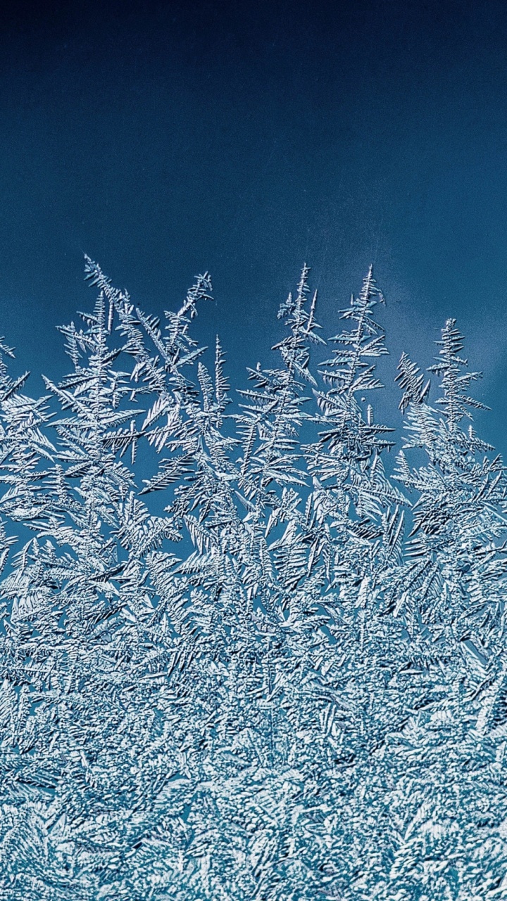 Hiver, Illustration, Azure, Rameau, Paysage Naturel. Wallpaper in 720x1280 Resolution