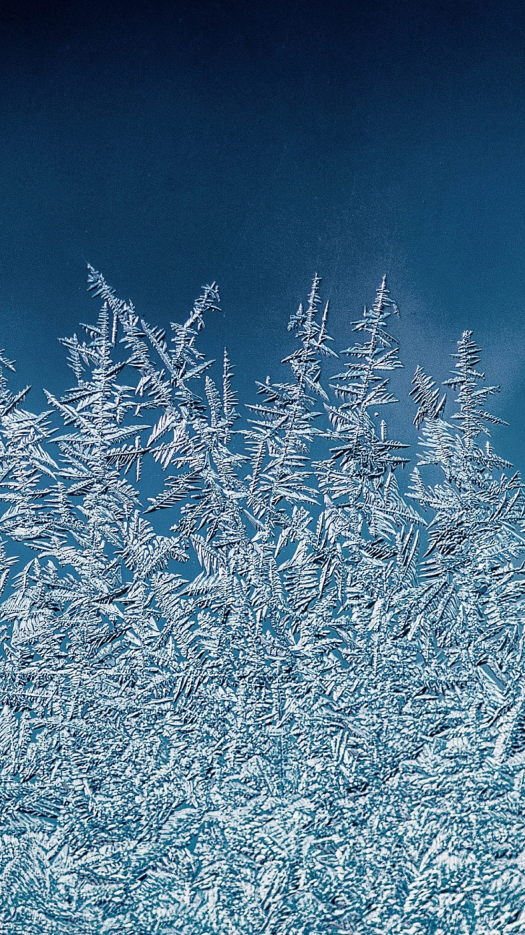 Winter, Illustration, Azure, Zweig, Naturlandschaft. Wallpaper in 750x1334 Resolution