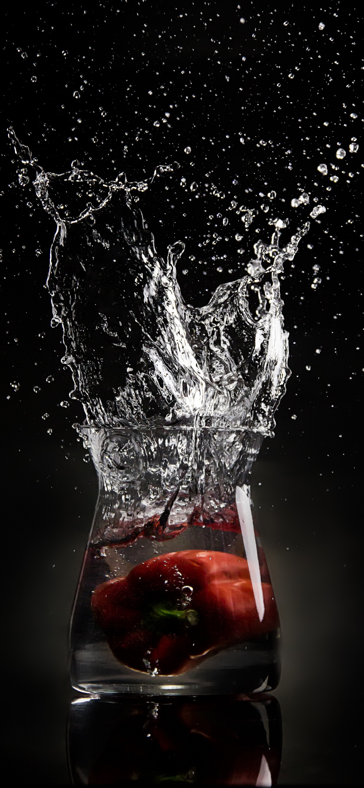 Rote Rose im Spritzwasser. Wallpaper in 1242x2688 Resolution