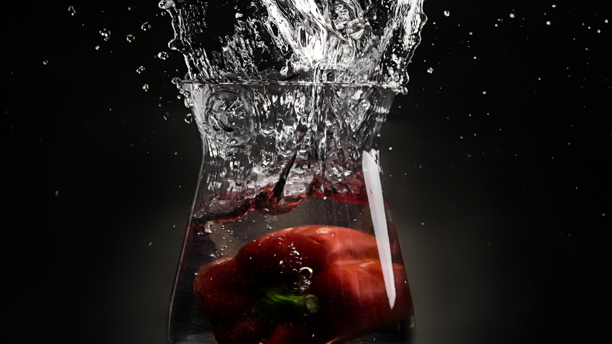 Red Rose in Water Splash. Wallpaper in 2560x1440 Resolution