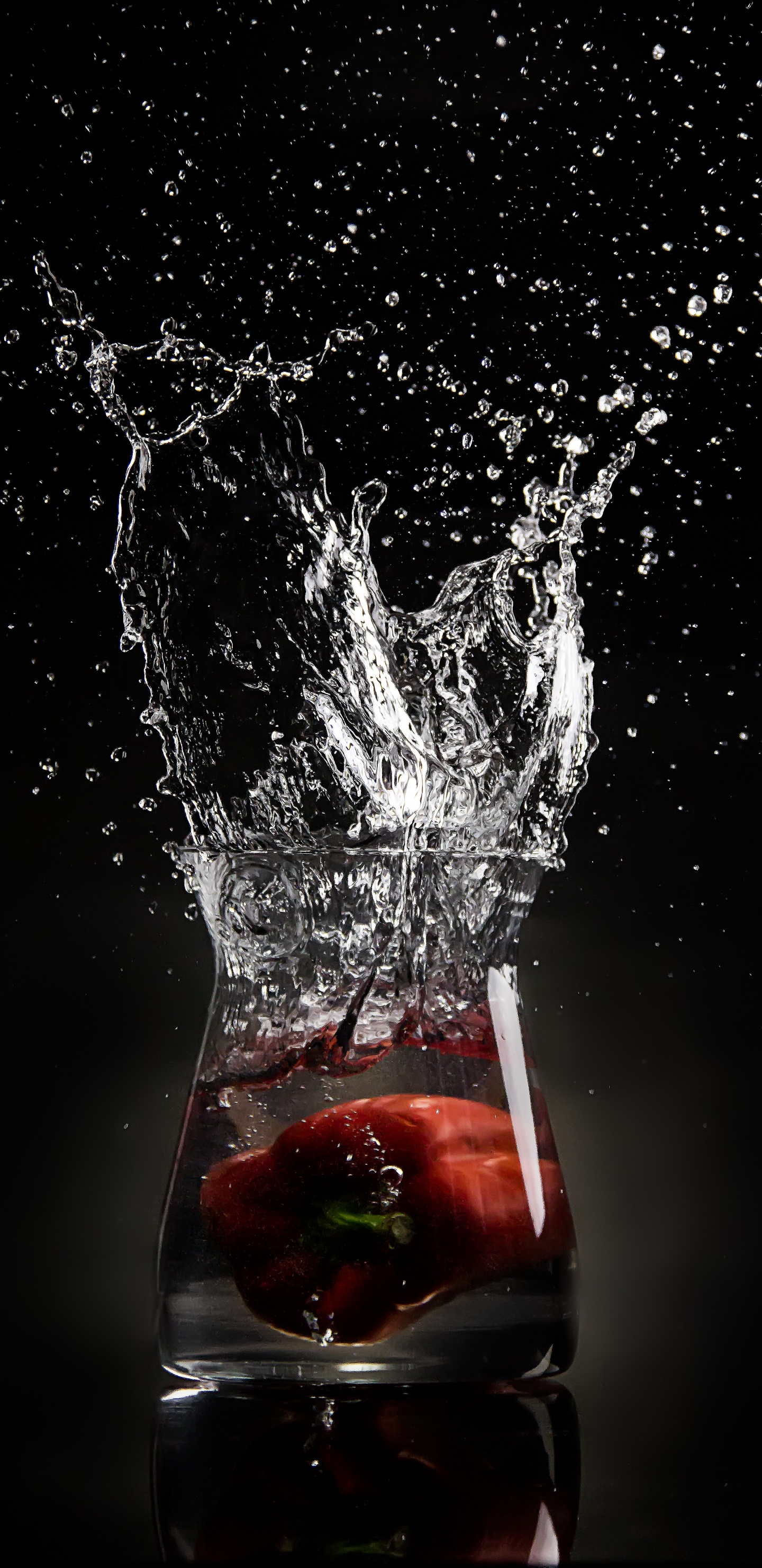 Rosa Roja en Salpicaduras de Agua. Wallpaper in 1440x2960 Resolution