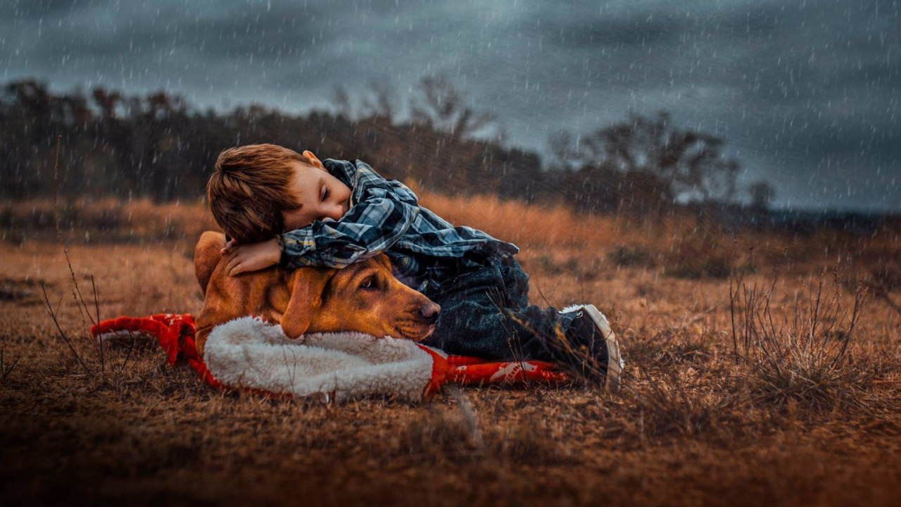 Grass, Ecoregion, Tree, Fun, Rain Boy Dog. Wallpaper in 1280x720 Resolution