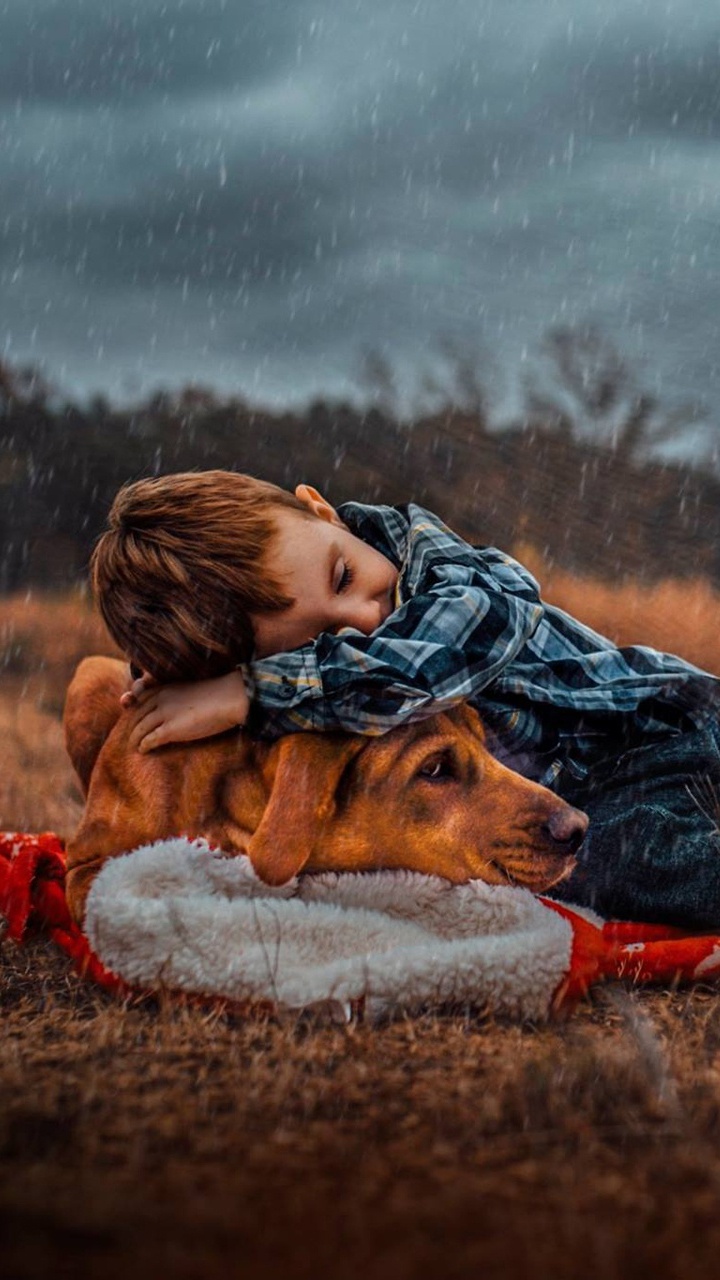 Grass, Ecoregion, Tree, Fun, Rain Boy Dog. Wallpaper in 720x1280 Resolution