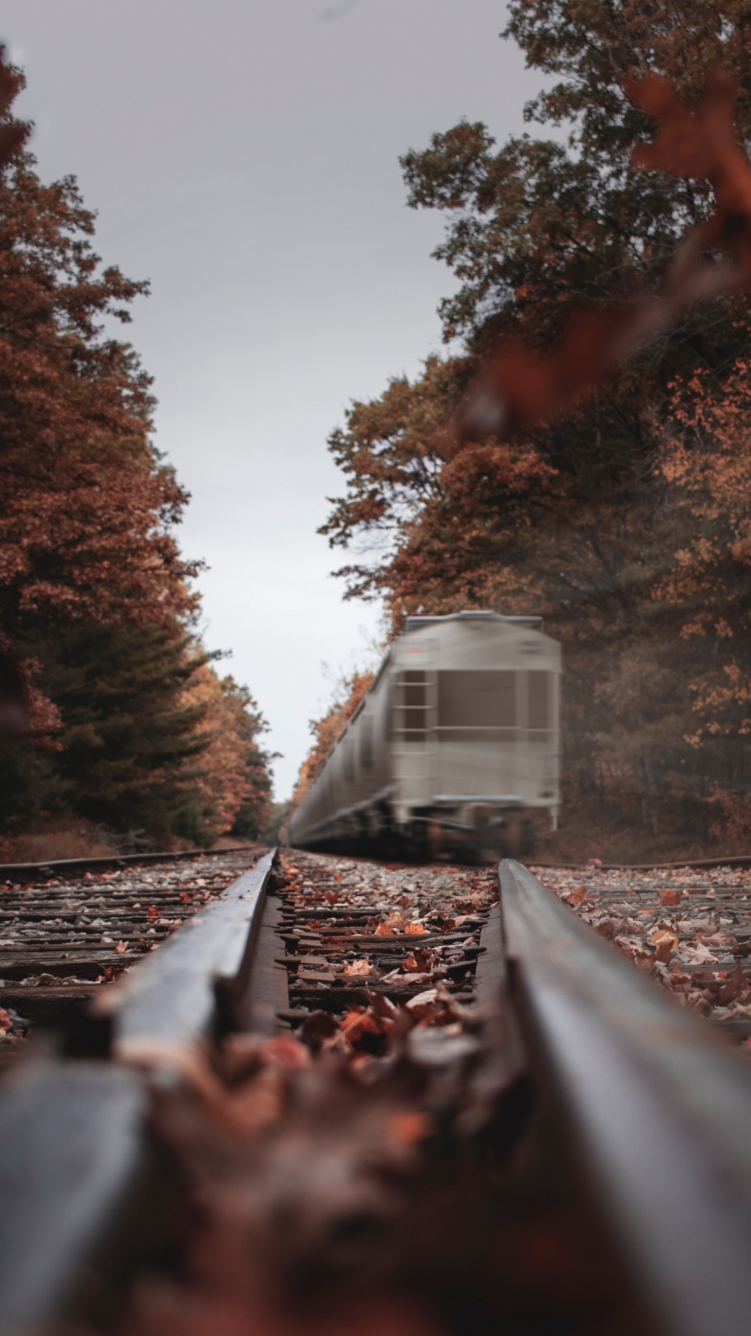 Arte, Tren, Pista, Madera, Ferrocarril. Wallpaper in 1080x1920 Resolution