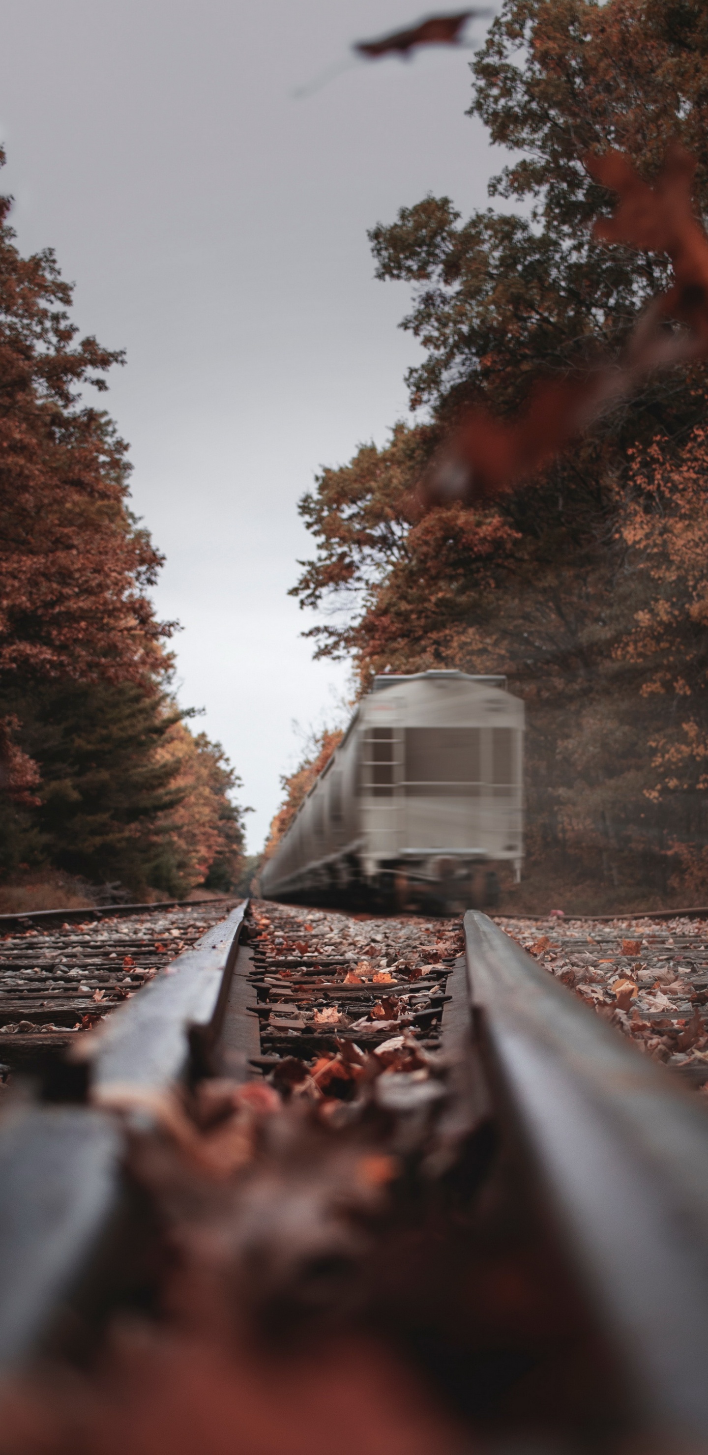 Arte, Tren, Pista, Madera, Ferrocarril. Wallpaper in 1440x2960 Resolution