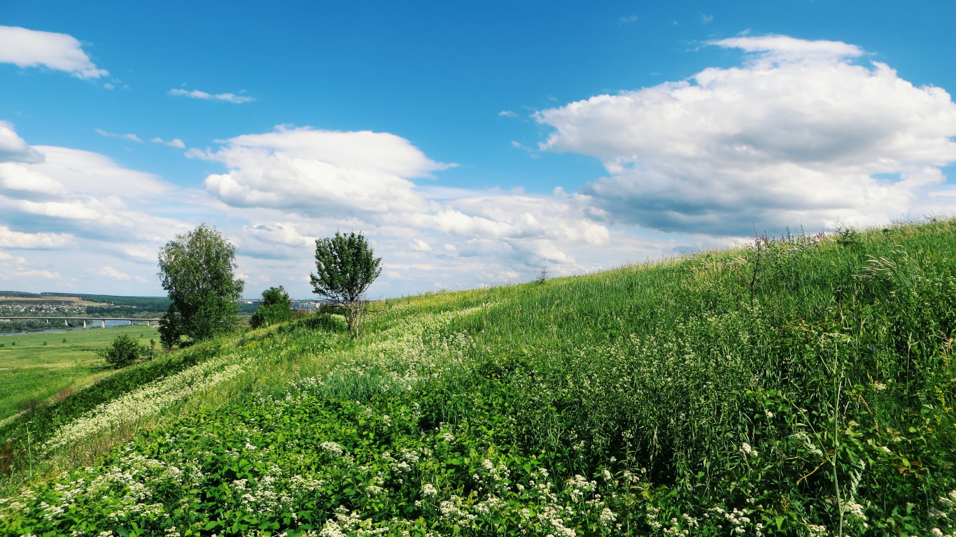 Tagsüber Grüne Wiese Unter Blauem Himmel. Wallpaper in 1366x768 Resolution