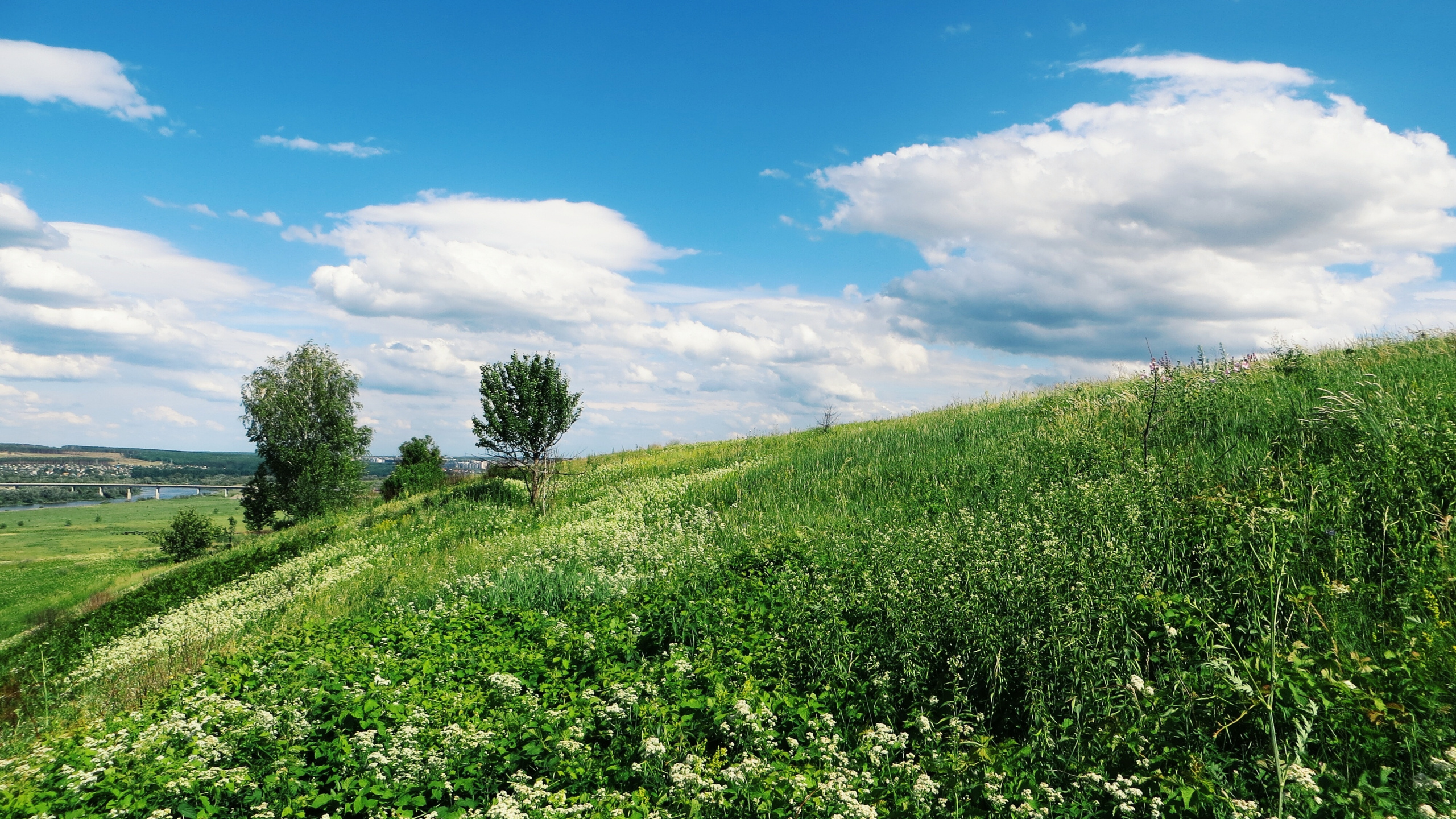 Green Grass Field Under Blue Sky During Daytime. Wallpaper in 2560x1440 Resolution