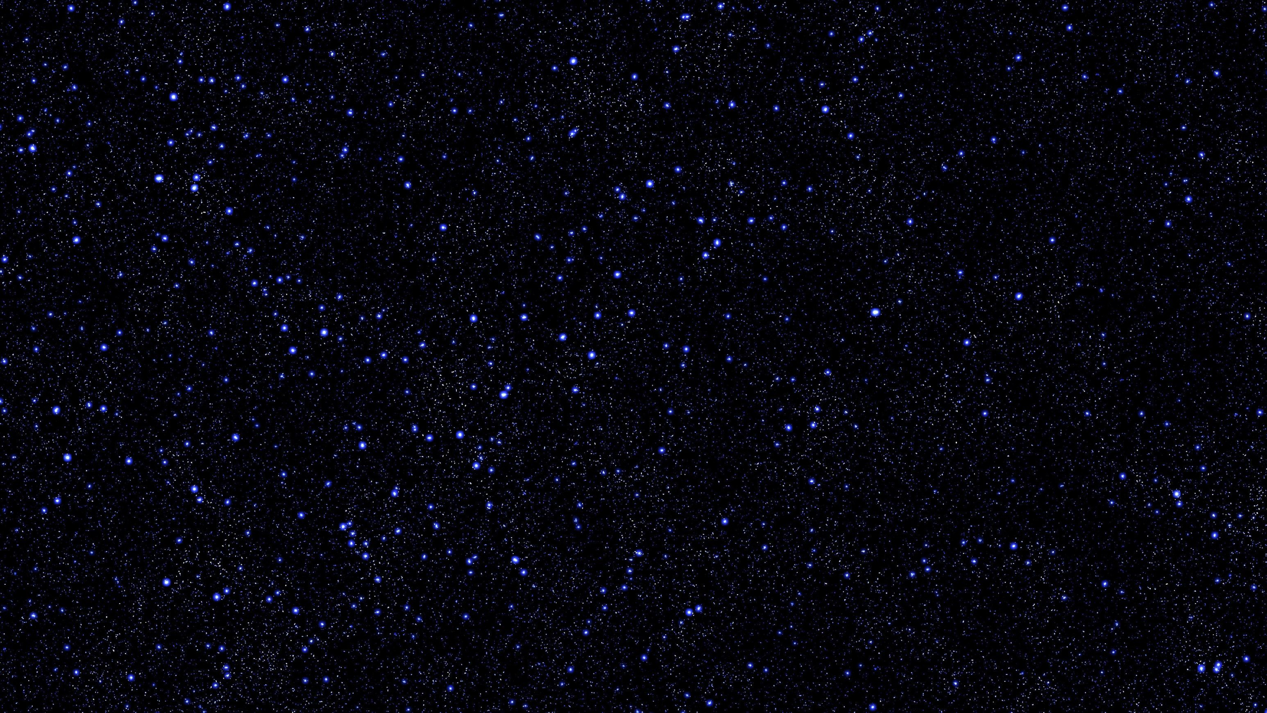 Estrellas en el Cielo Durante la Noche.. Wallpaper in 2560x1440 Resolution