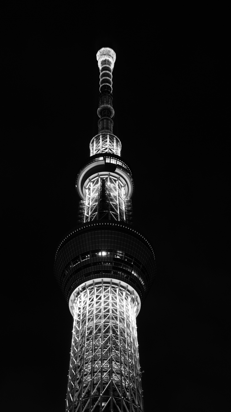 Grayscale Photo of High Rise Building. Wallpaper in 750x1334 Resolution