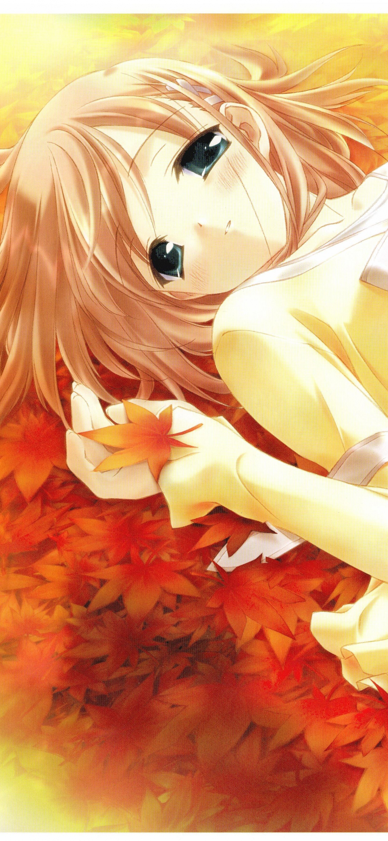 Femme en Robe Blanche Allongée Sur la Peinture de Fleurs Rouges. Wallpaper in 1242x2688 Resolution