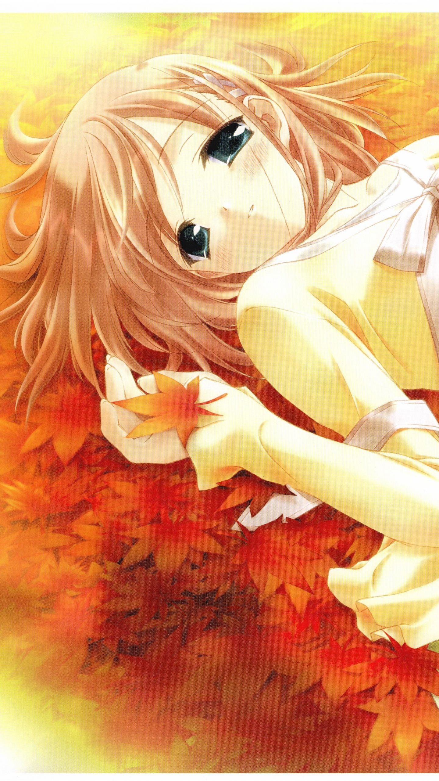 Femme en Robe Blanche Allongée Sur la Peinture de Fleurs Rouges. Wallpaper in 1440x2560 Resolution