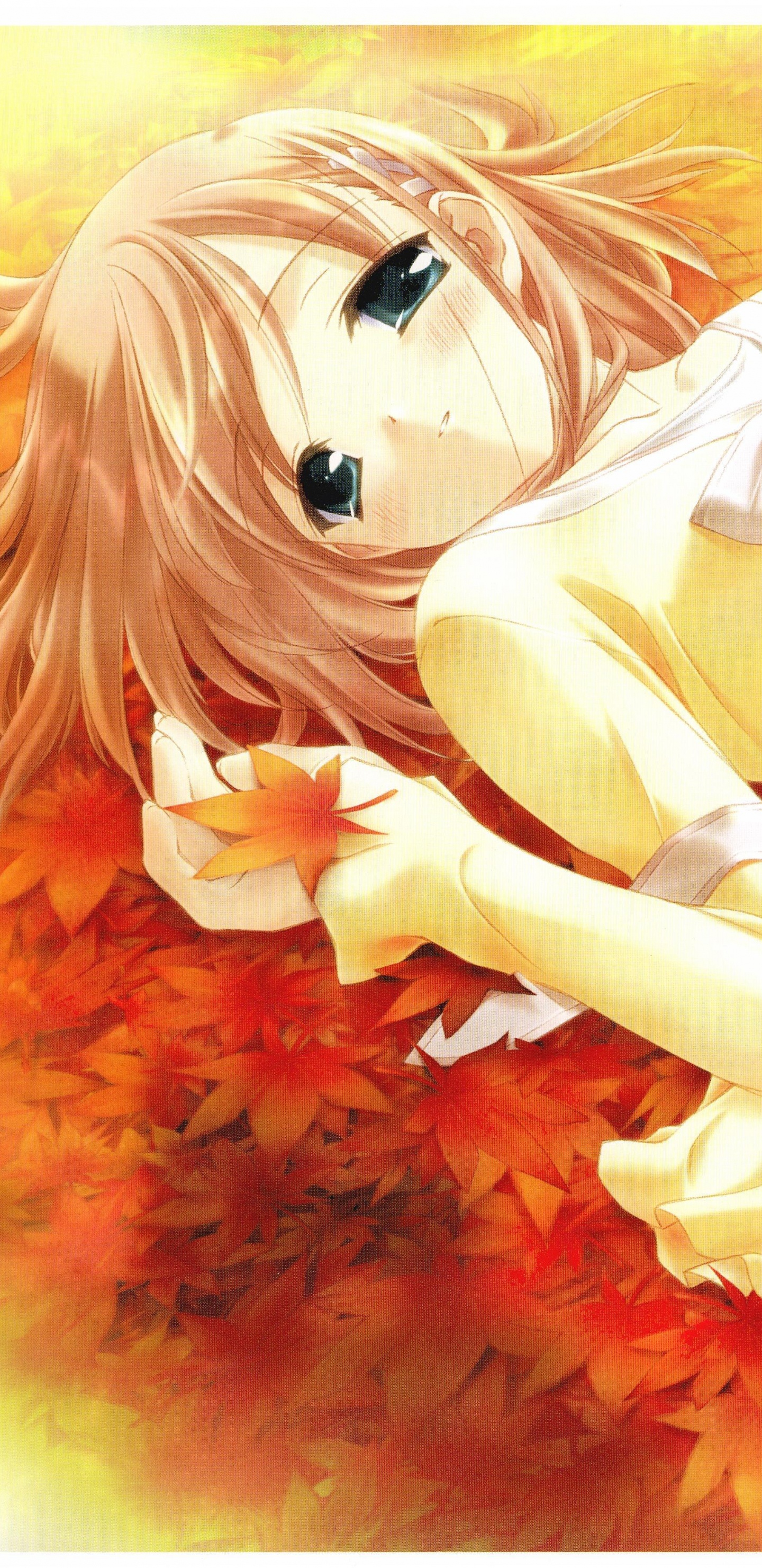 Femme en Robe Blanche Allongée Sur la Peinture de Fleurs Rouges. Wallpaper in 1440x2960 Resolution