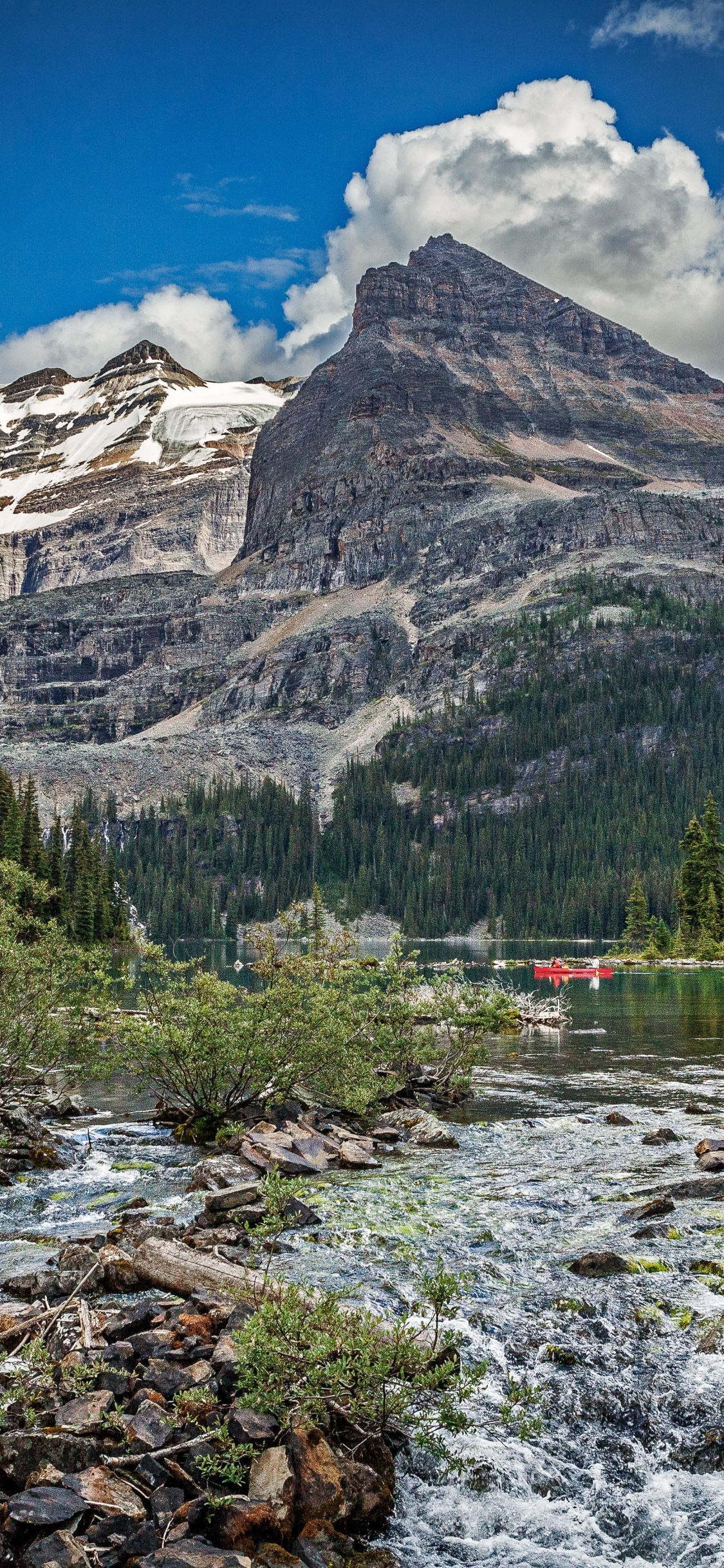 Grüne Bäume in Der Nähe Des Berges Unter Blauem Himmel Tagsüber. Wallpaper in 1125x2436 Resolution