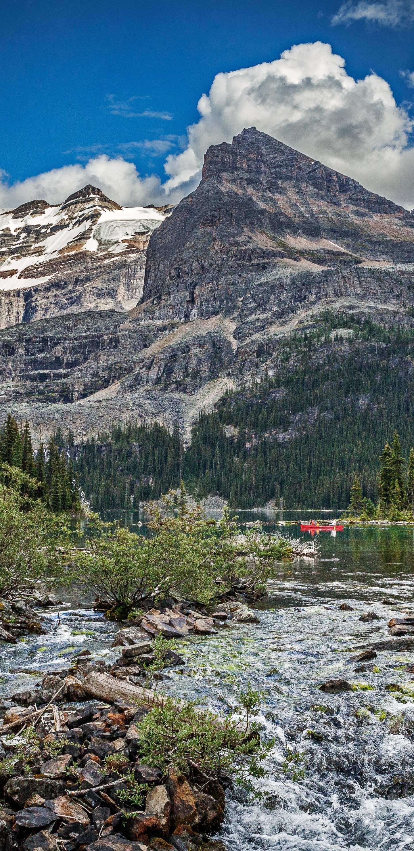 Grüne Bäume in Der Nähe Des Berges Unter Blauem Himmel Tagsüber. Wallpaper in 1440x2960 Resolution