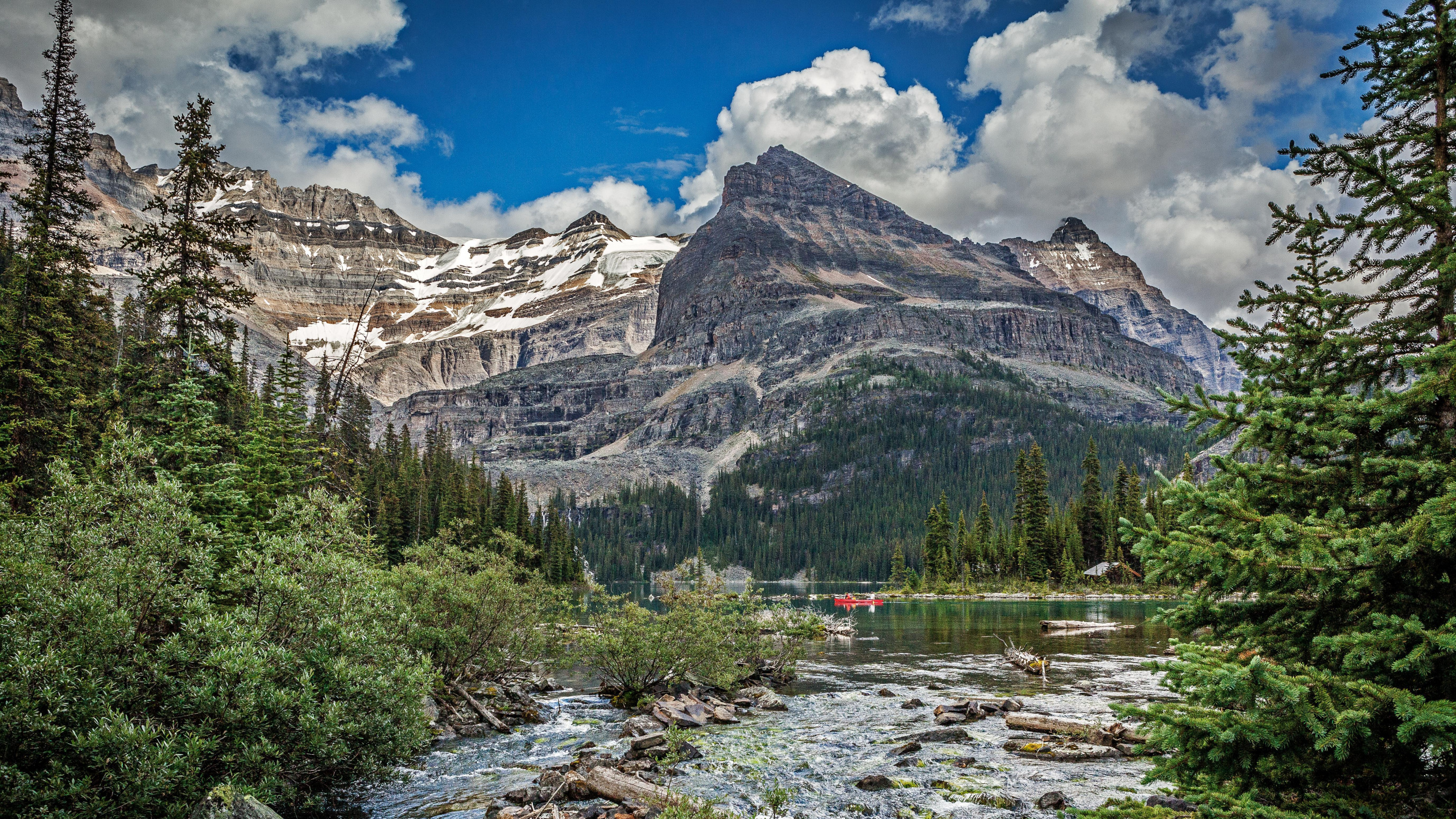 Grüne Bäume in Der Nähe Des Berges Unter Blauem Himmel Tagsüber. Wallpaper in 2560x1440 Resolution