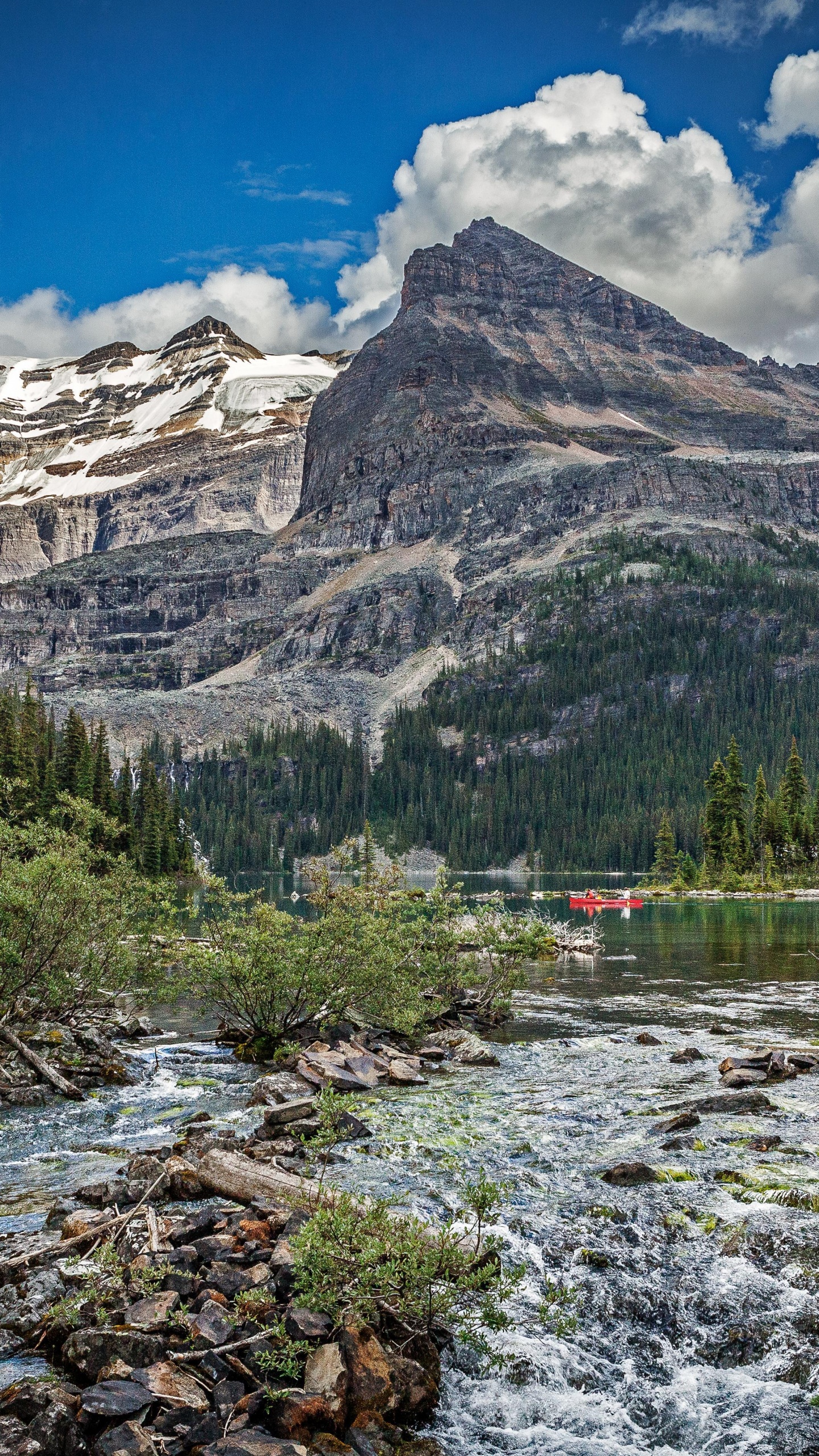 Árboles Verdes Cerca de la Montaña Bajo un Cielo Azul Durante el Día. Wallpaper in 1440x2560 Resolution