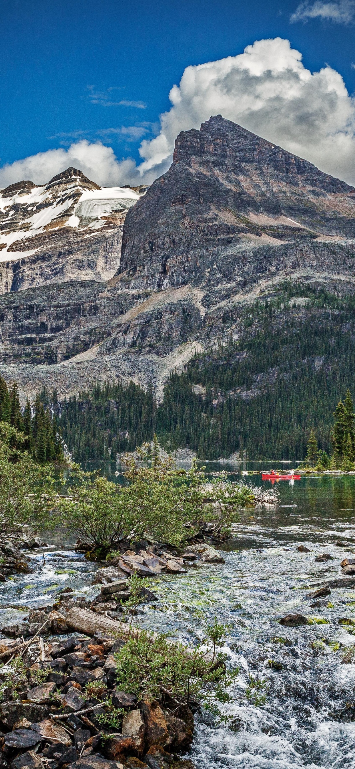 Green Trees Near Mountain Under Blue Sky During Daytime. Wallpaper in 1242x2688 Resolution